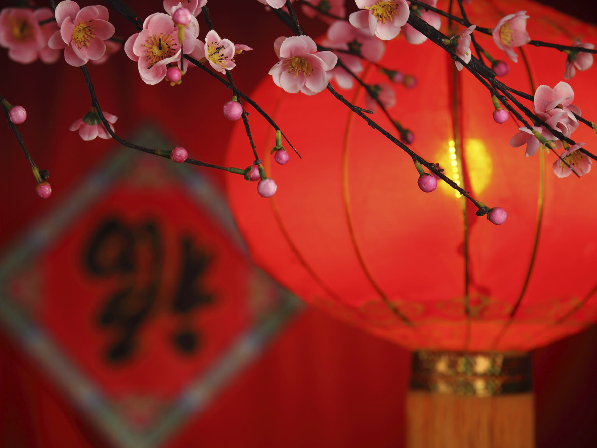 Chinese New Year: Holiday, Begins on the new moon that appears between 21 January and 20 February. 2050x1540 HD Background.