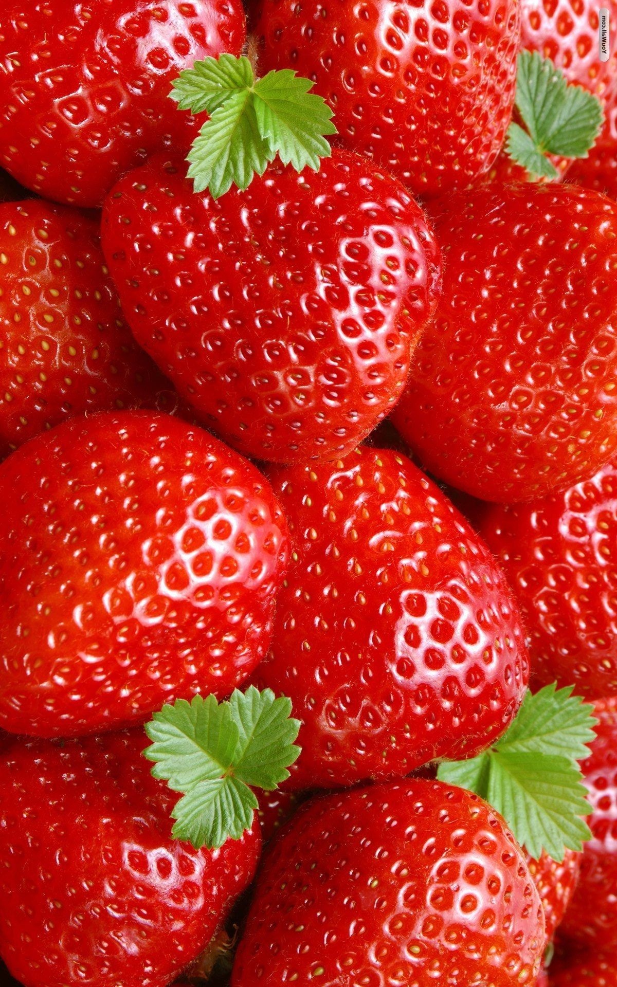 Strawberry: Rich source of vitamins C, K, B6, B9, potassium and dietary fibers. 1200x1920 HD Wallpaper.