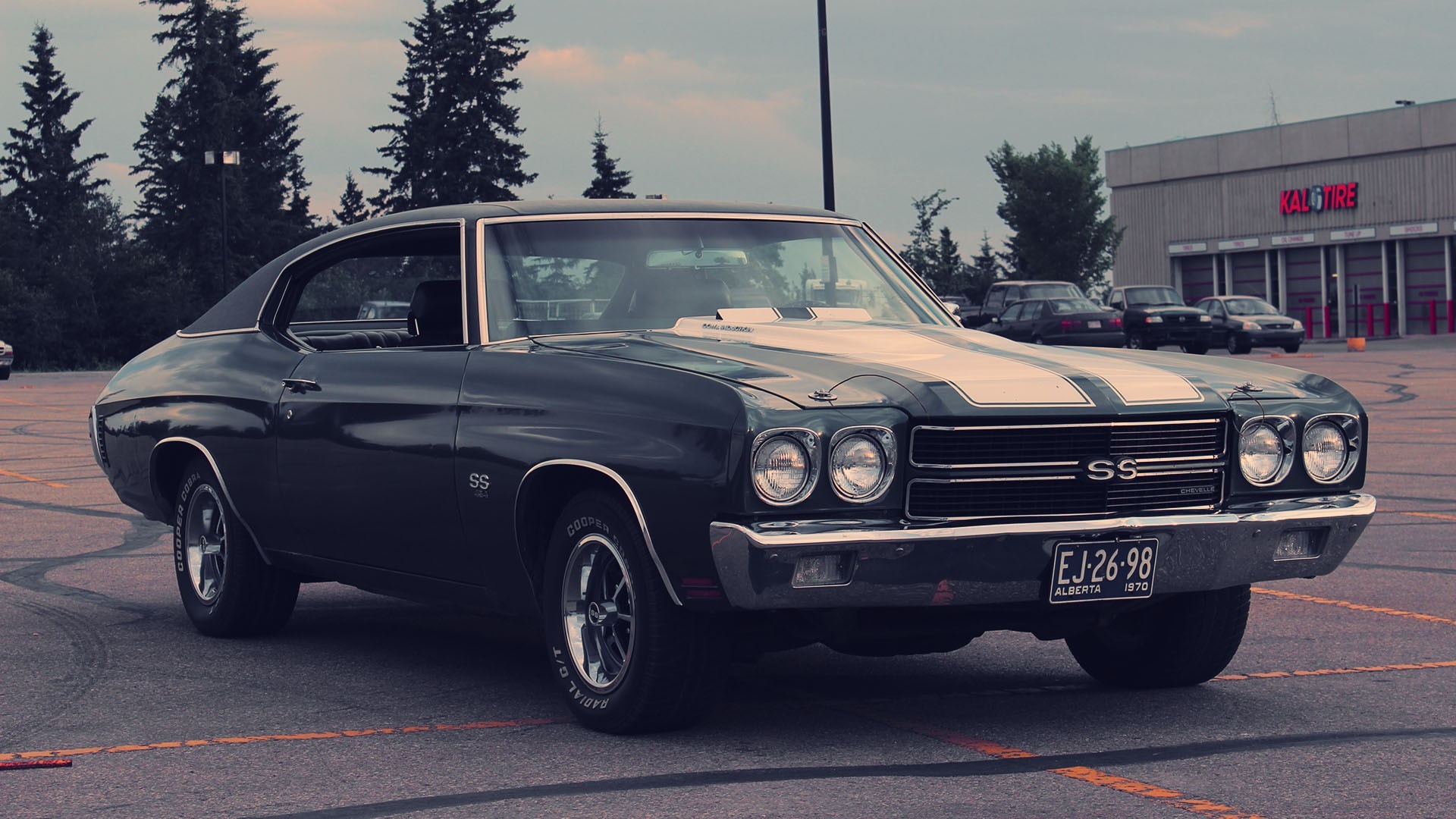Chevrolet Chevelle collection, Classic car showcase, Muscle car gallery, Vintage pedigree, Automotive enthusiasts, 1920x1080 Full HD Desktop