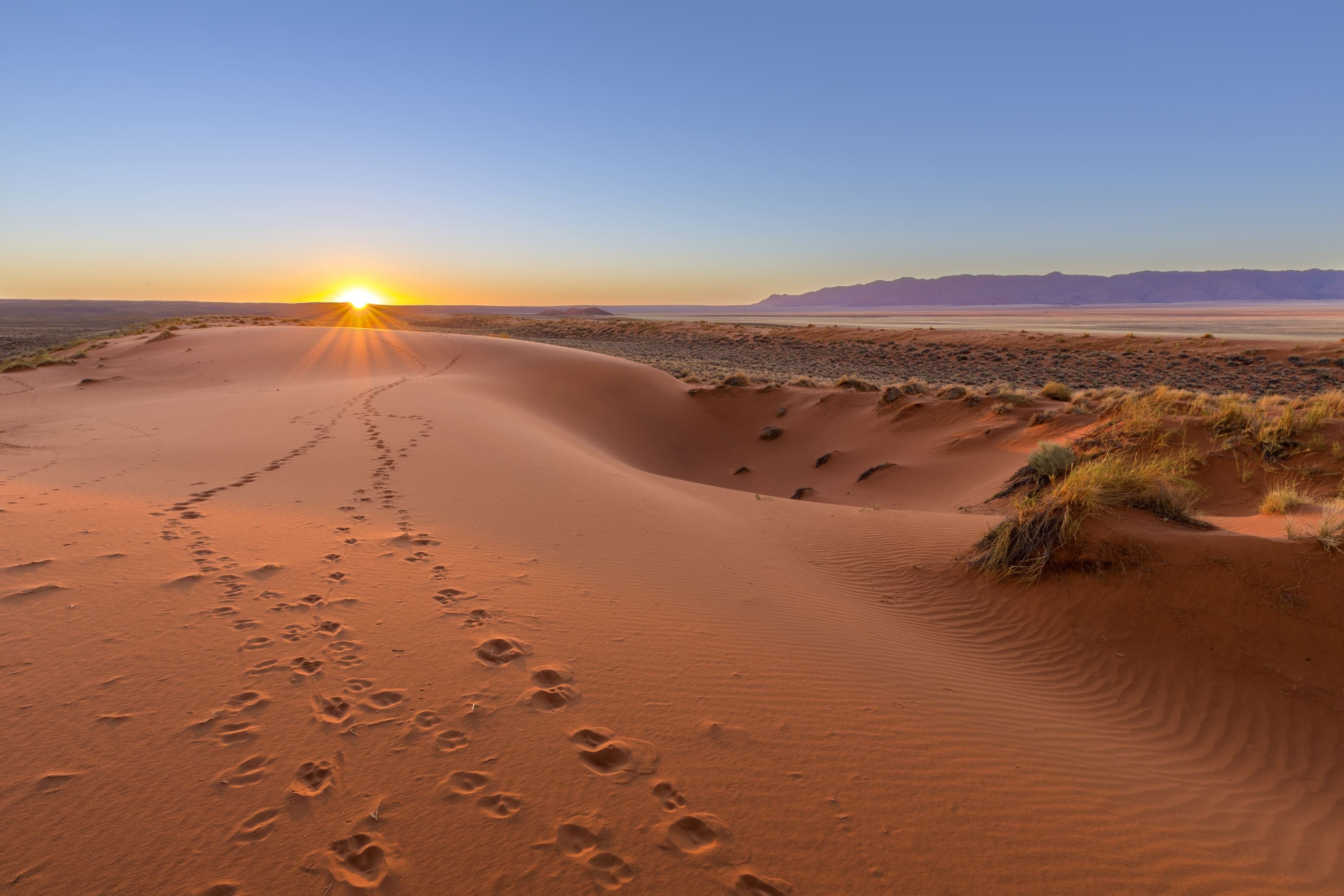 Kalahari Desert, Lieux incontournables, Namibie, Travel, 2800x1870 HD Desktop