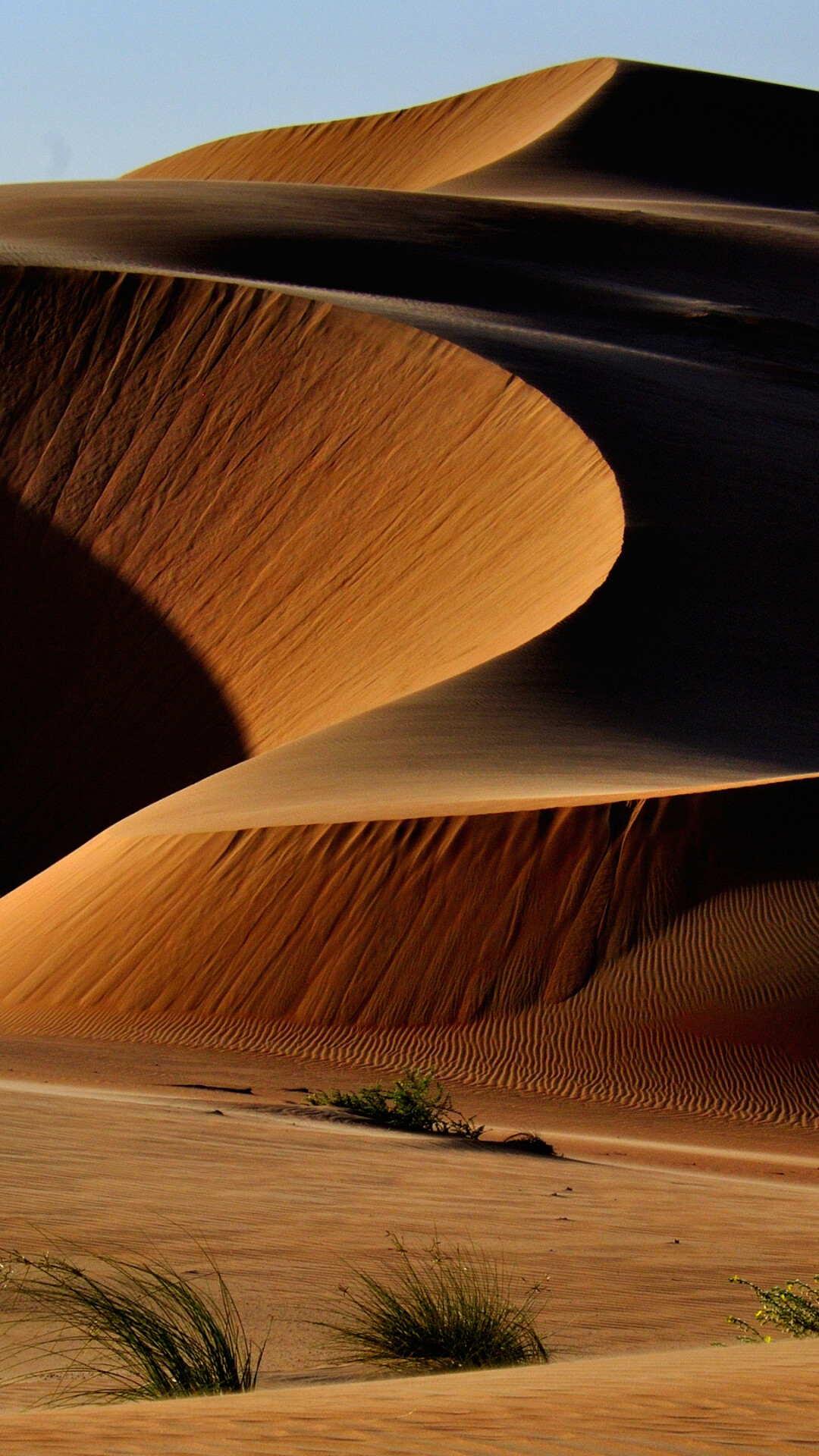 Geology: Sand dunes, A barren area where little precipitation occurs, Desert. 1080x1920 Full HD Background.