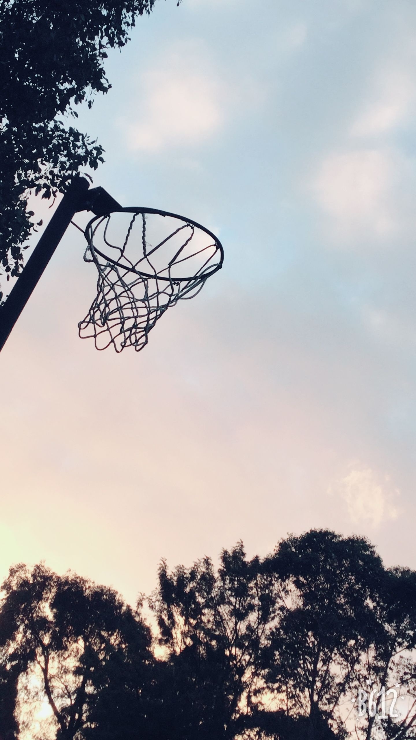 Streetball: Netball basket, A ball sport played by two teams of seven women players. 1440x2560 HD Wallpaper.