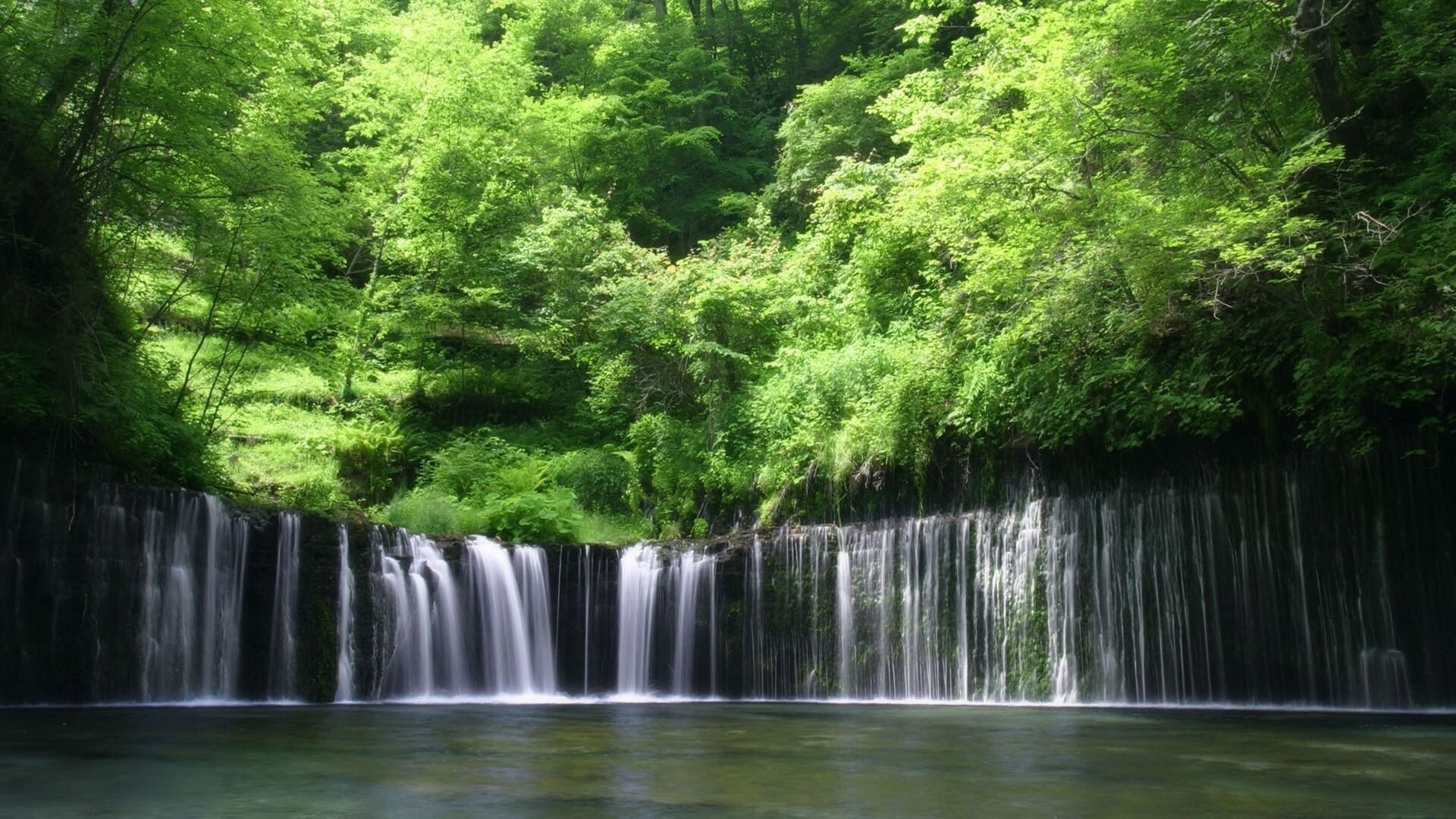 Waterfall: Forest, Violent rush of river over a precipice. 1920x1080 Full HD Wallpaper.