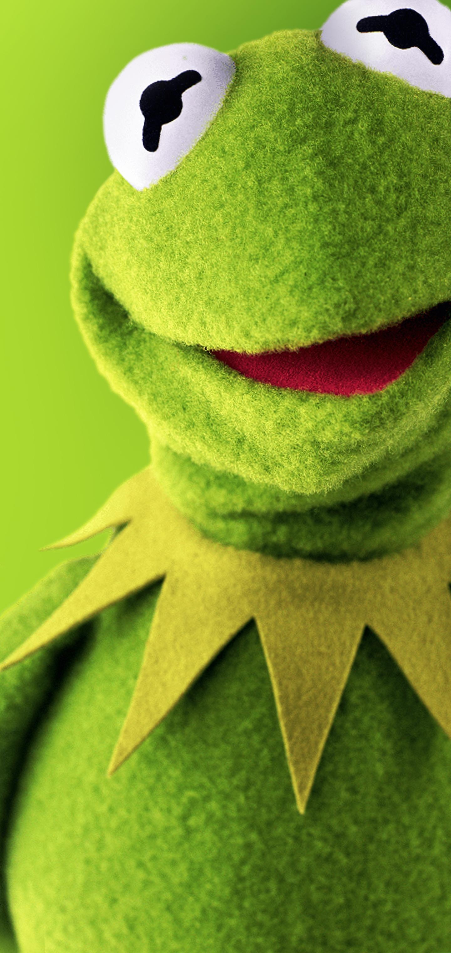 Green Kermit the Frog, Colorful wallpapers, Vibrant icon, Animated charm, 1440x3040 HD Phone
