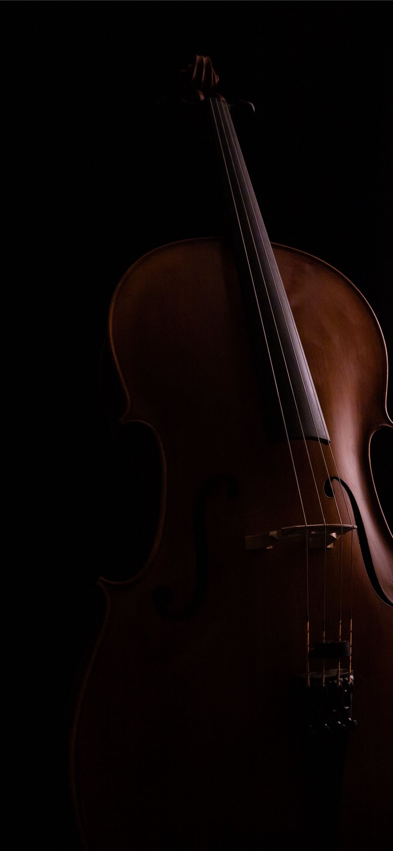 Violoncello: Double Bass, Modern Symphony Orchestra, Low-Pitched Sound, Instrument Strings. 1290x2780 HD Background.