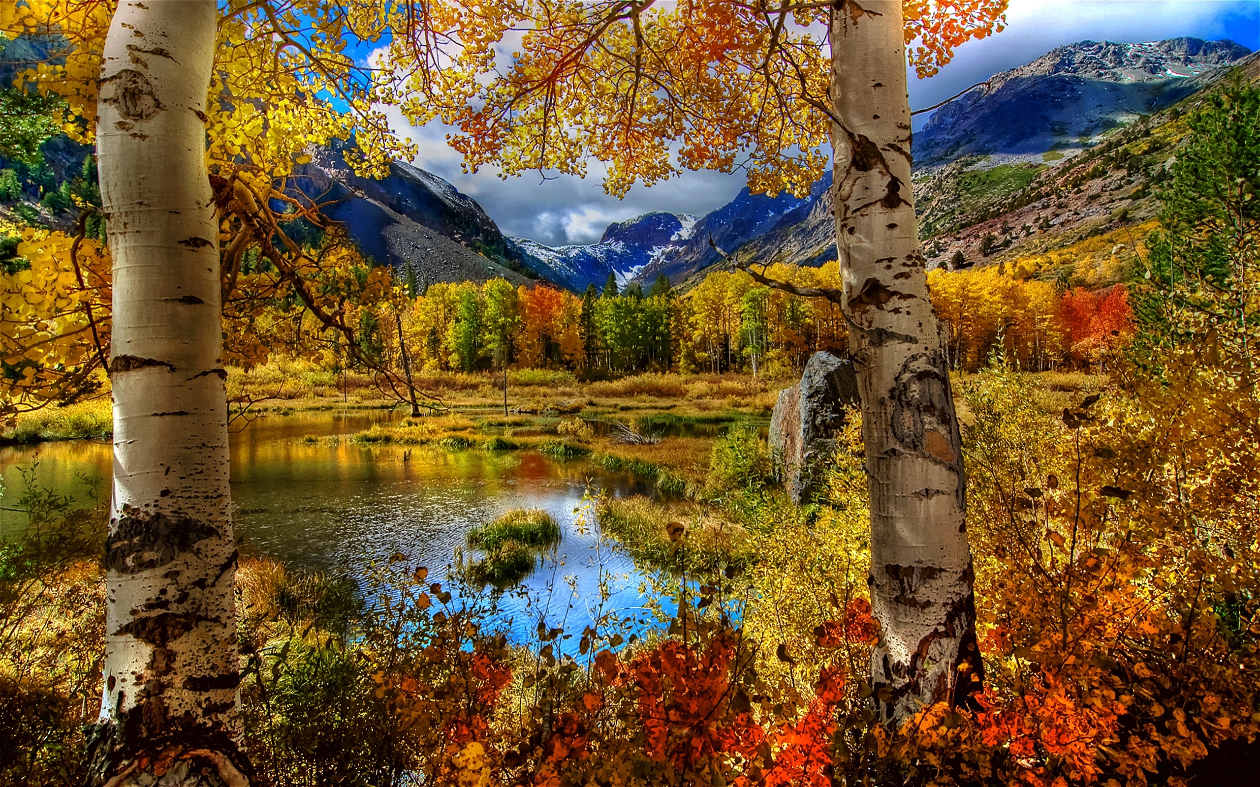 HD fall bliss, Earthy tones, September equinox, Enchanted path, Bountiful harvest, 2560x1600 HD Desktop