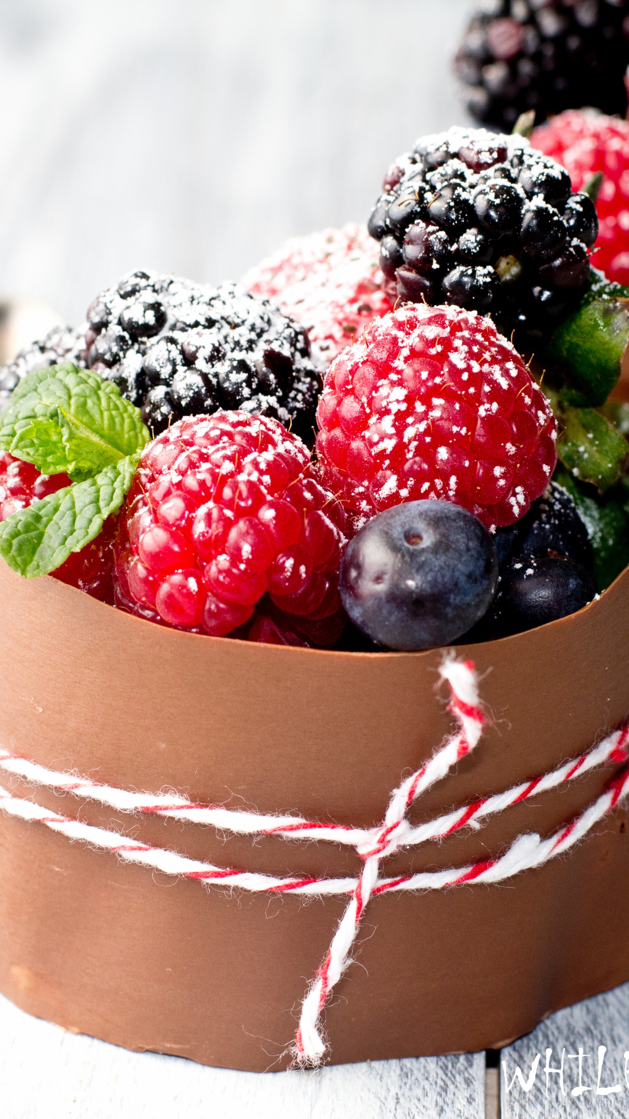 Berries, Raspberry, Blueberry, Food, 2160x3840 4K Handy