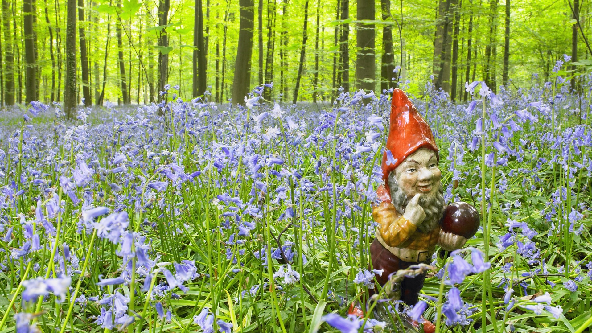 Gnome background wallpapers, Popular gnome backgrounds, Enchanting garden dcor, Magical creatures, 1920x1080 Full HD Desktop