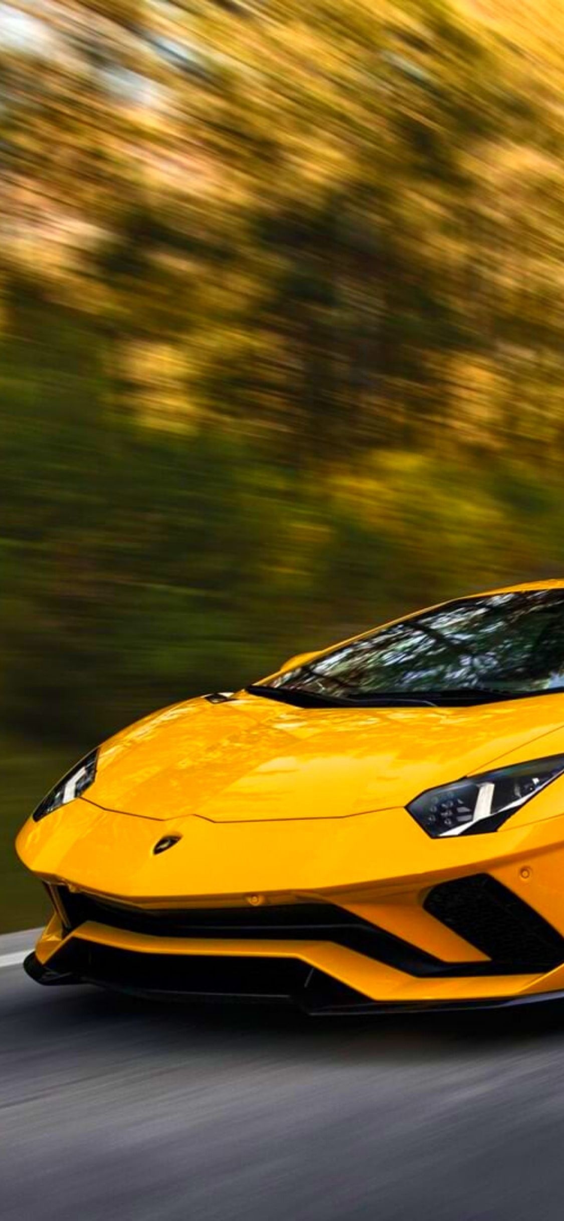 iPhone 11, Aventador wallpapers, Free download, Stunning Lamborghini visuals, 1130x2440 HD Handy