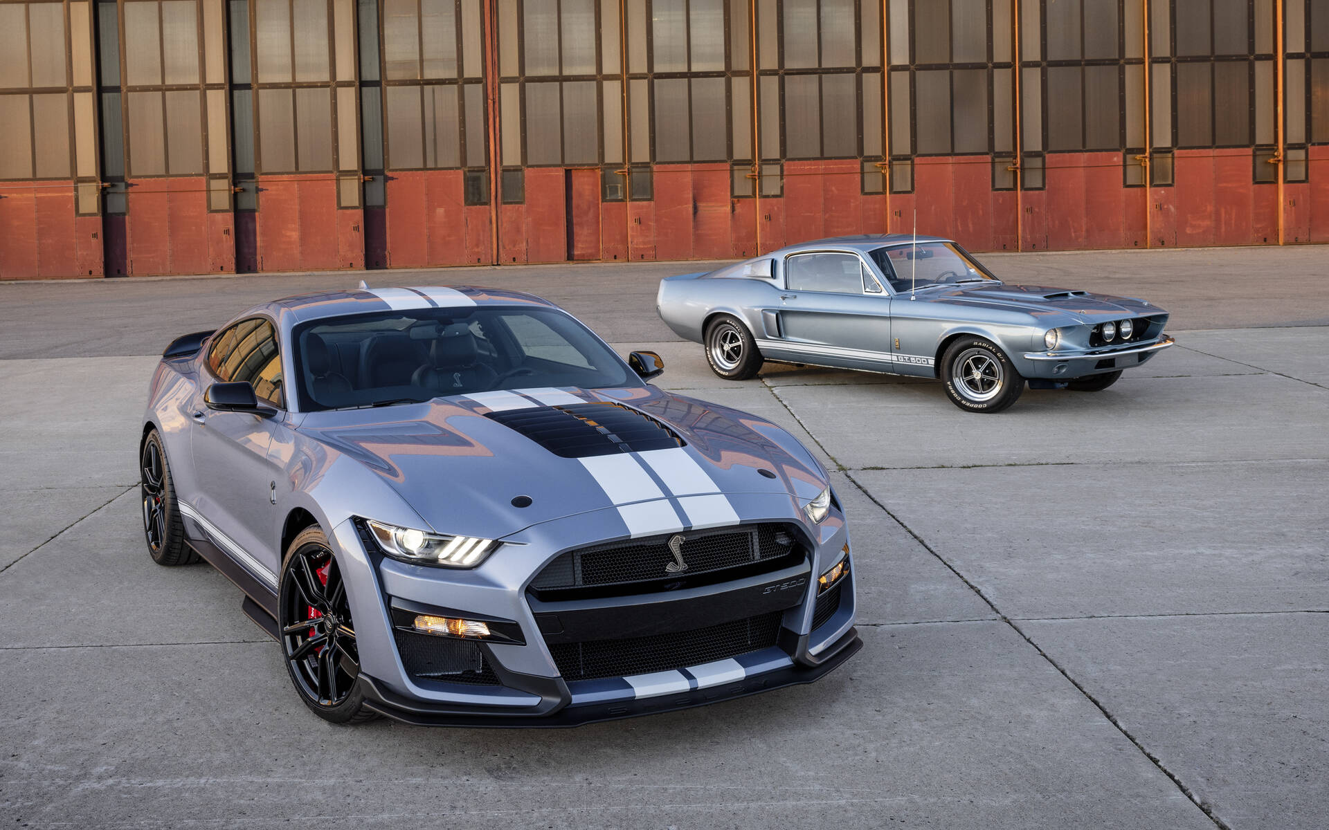 Shelby GT500, Heritage edition, Anniversary special, High-power muscle, Automotive excellence, 1920x1200 HD Desktop