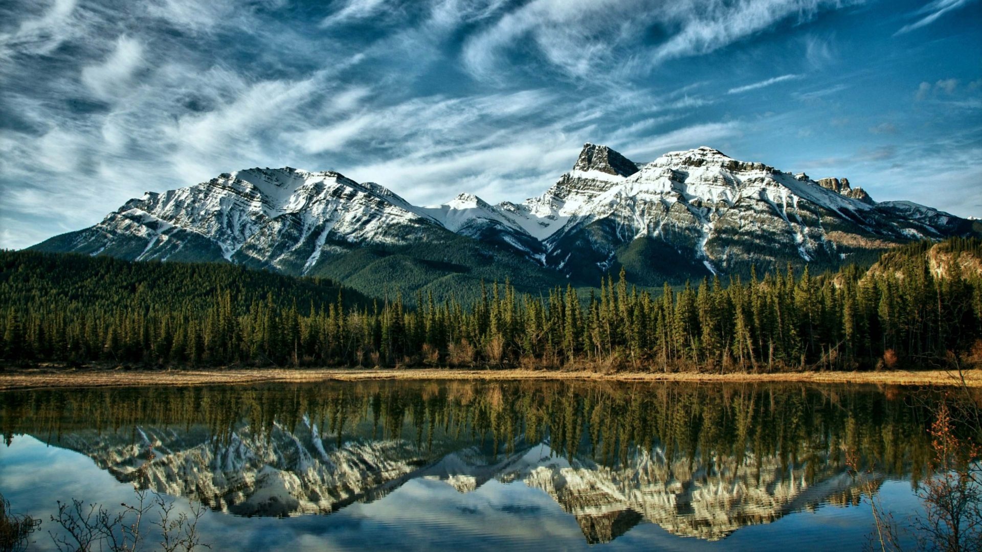 Friedliche Lake Pine Forest in Banff National Park, 1920x1080 Full HD Desktop