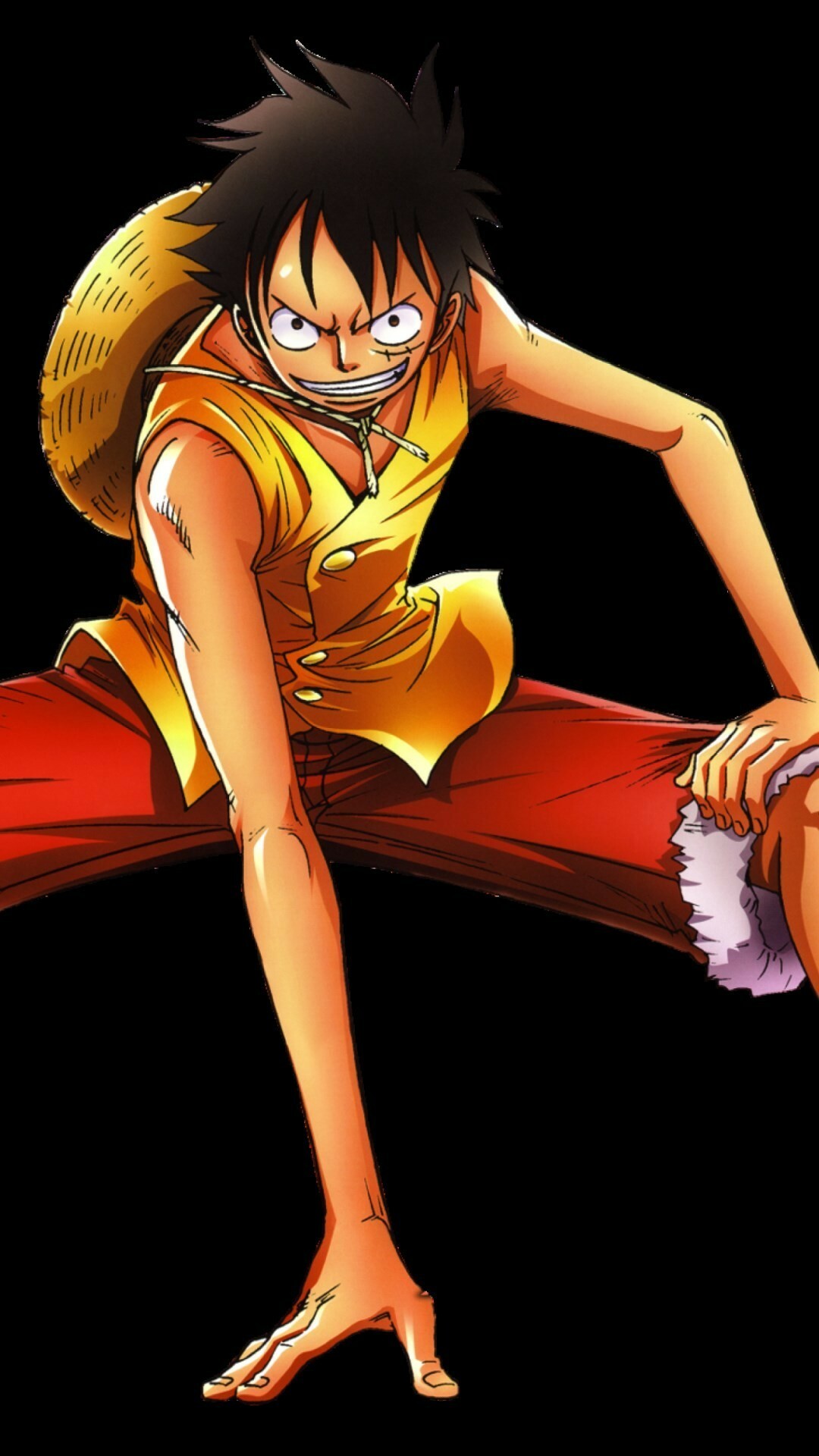 One Piece, Dynamic animation, Unforgettable scenes, Incredible visuals, 1080x1920 Full HD Phone