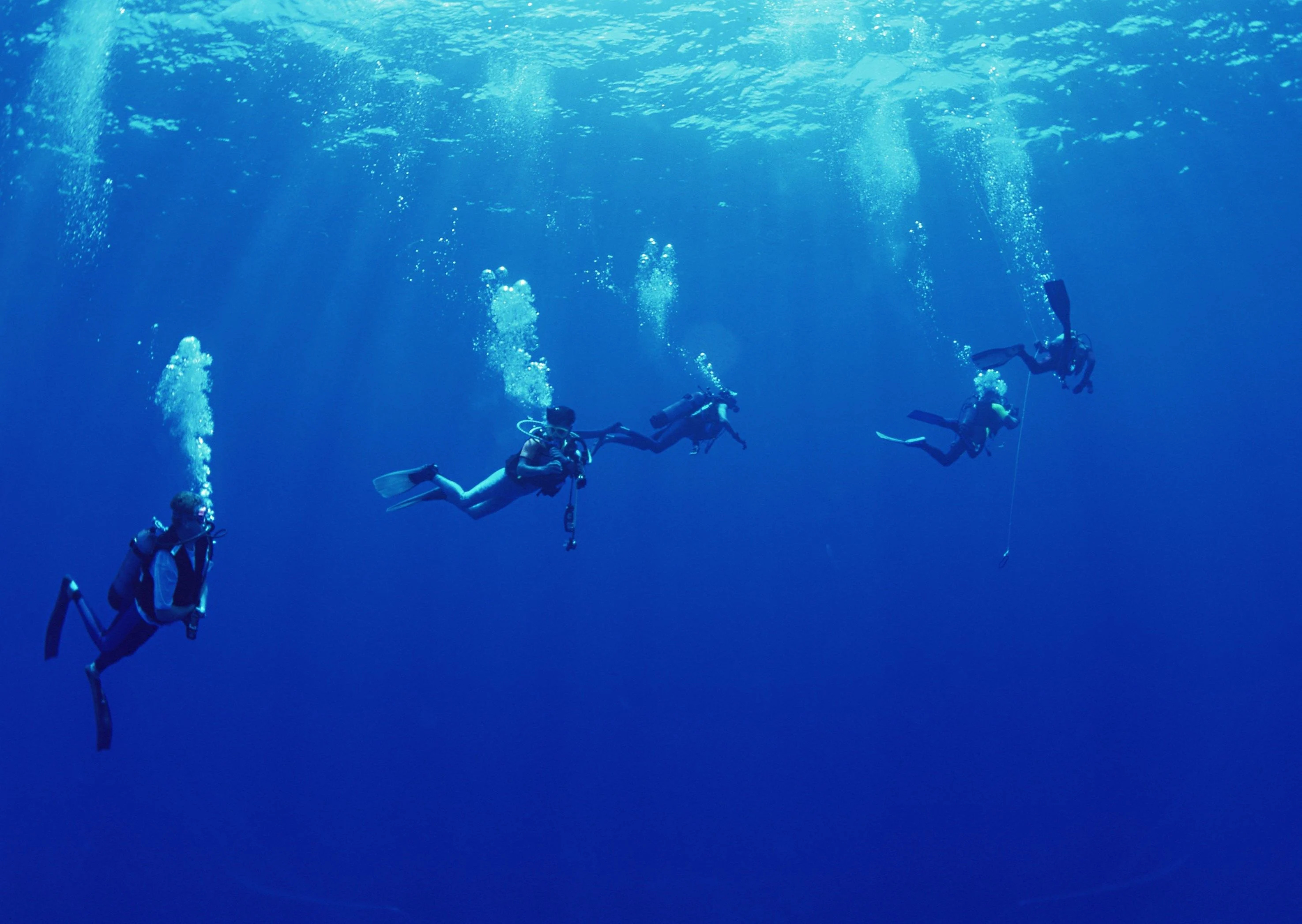 Diving: Recreational underwater swimming, The use of scuba equipment for the leisure purposes. 2950x2100 HD Wallpaper.