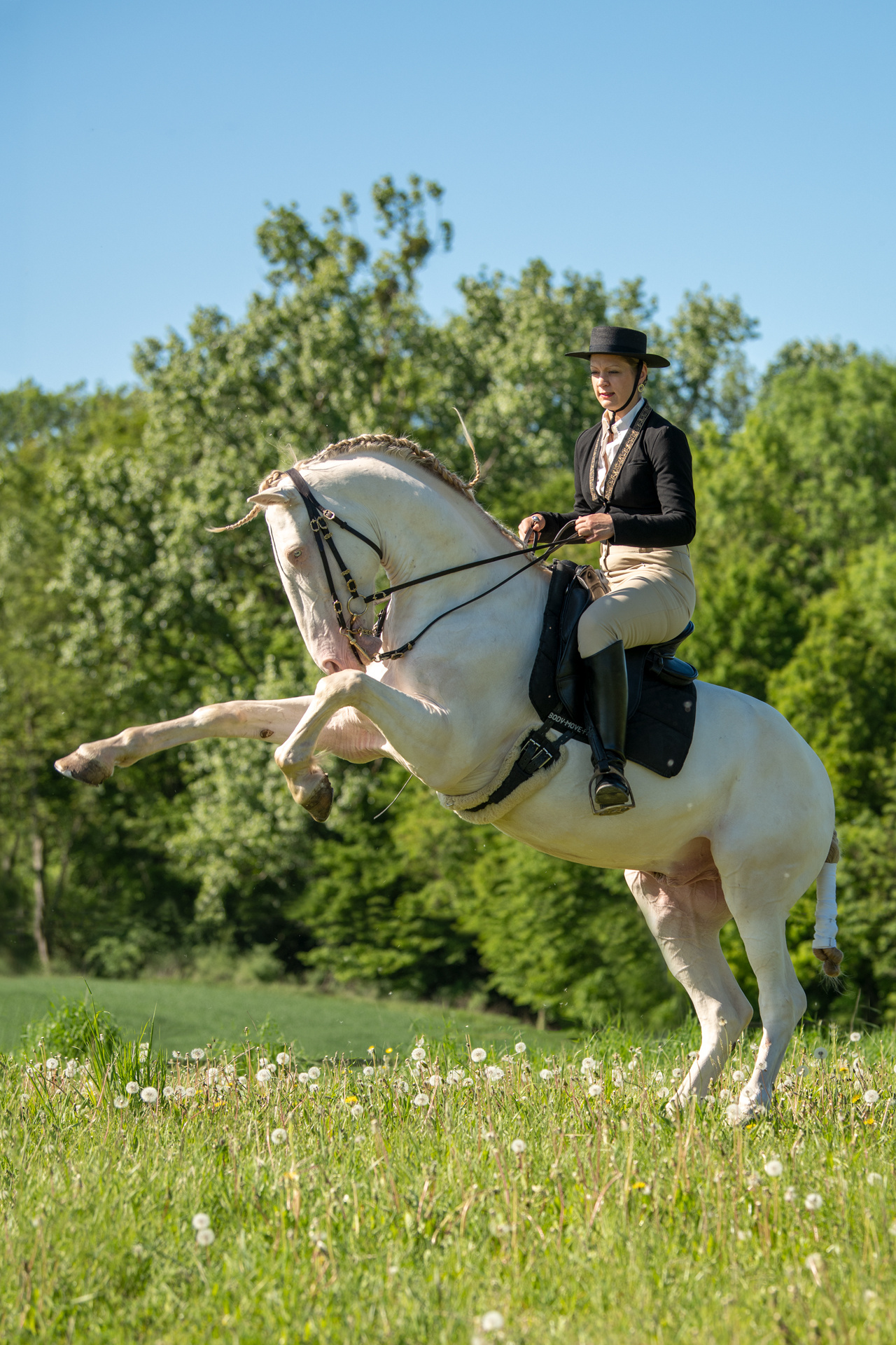 Equitation: A female jockey with a reared up white horse, Recreational activity and sport. 1280x1920 HD Background.
