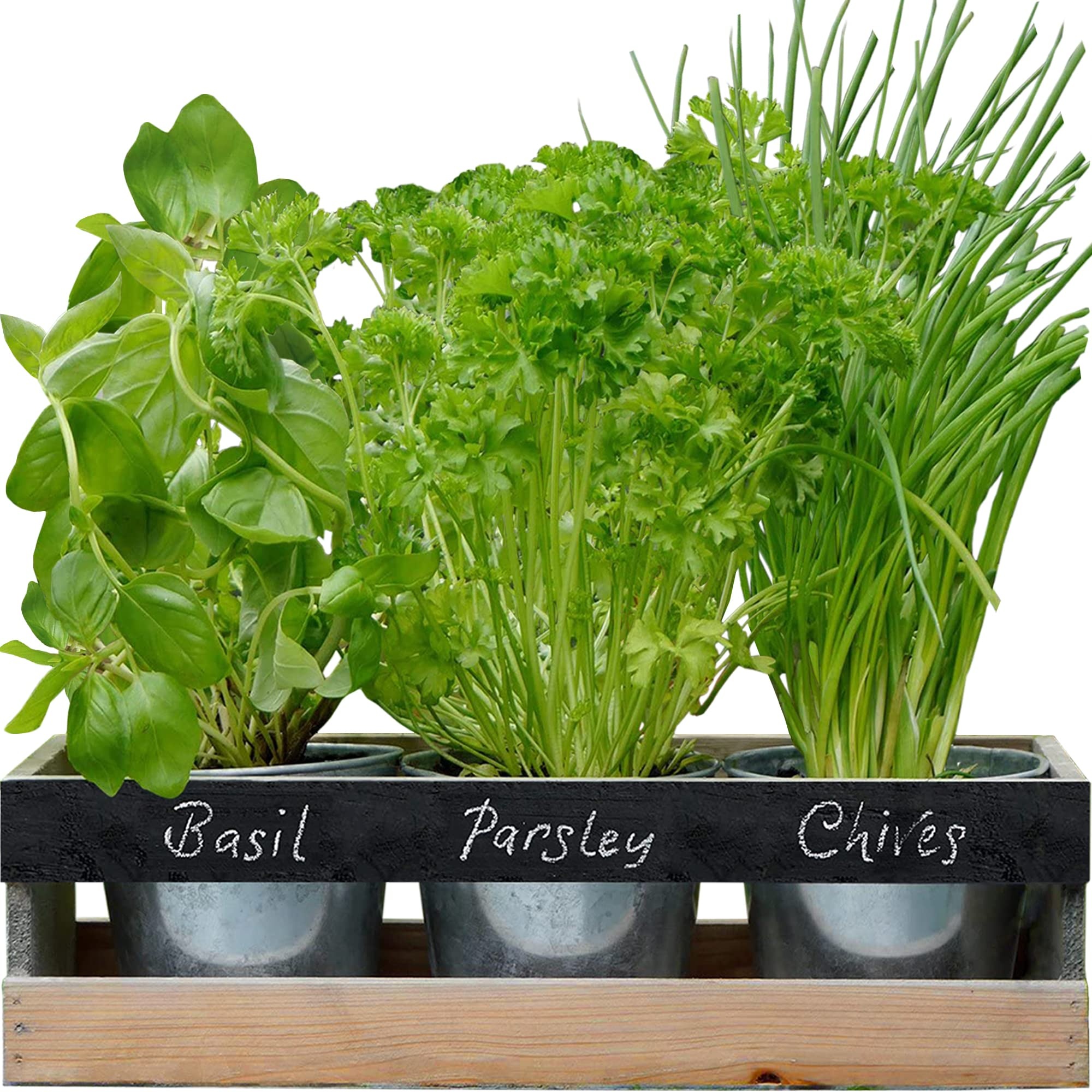 Indoor herb garden kit, Wooden windowsill planter, Kitchen, Herbs, 2000x2000 HD Handy