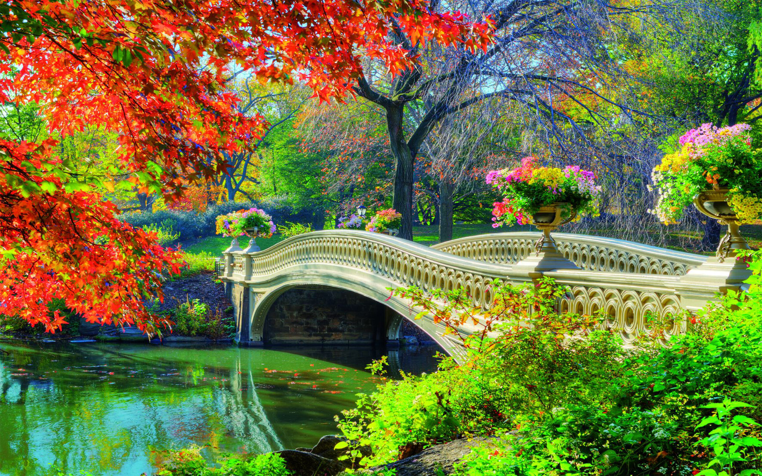 Park (Nature), Central park bridge, Springtime, HD wallpaper, 2560x1600 HD Desktop