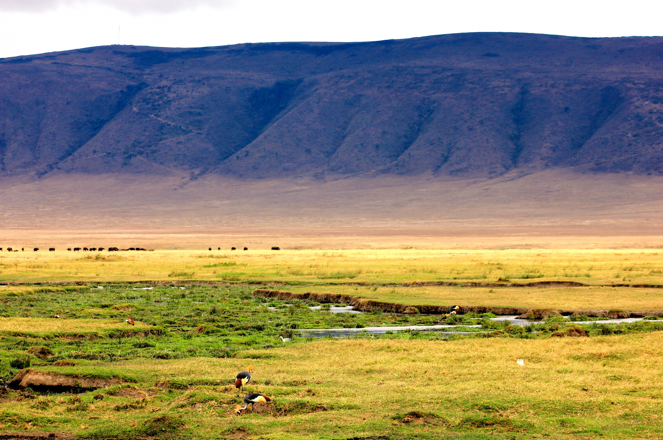 High-quality Ngorongoro Crater wallpaper, Full HD pictures, 2560x1700 HD Desktop