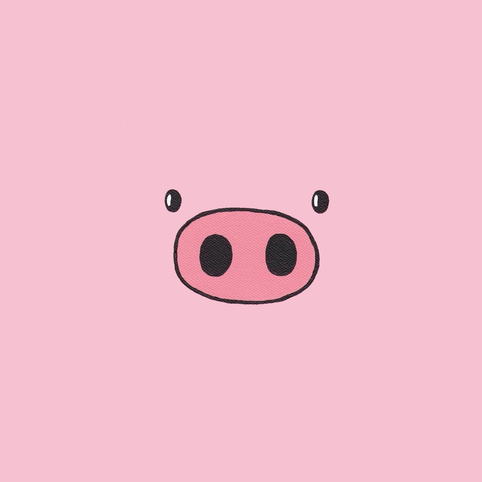 Pig iPhone wallpapers, Stylish piggy cuteness, Oink-tastic backgrounds, Playful snouts, 2050x2050 HD Handy