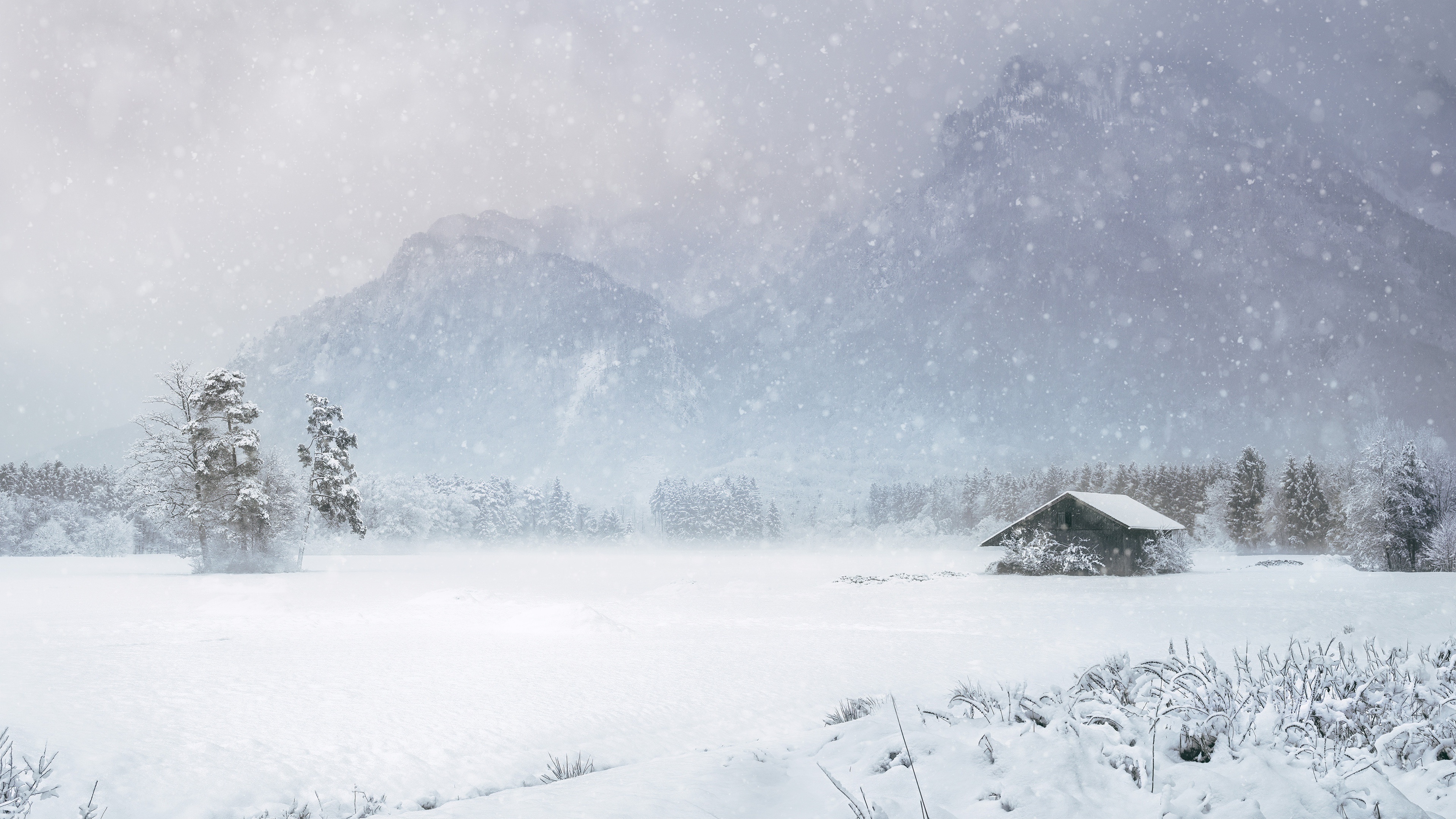 Ice Storm, Winter 4K wallpaper, 3840x2160 4K Desktop