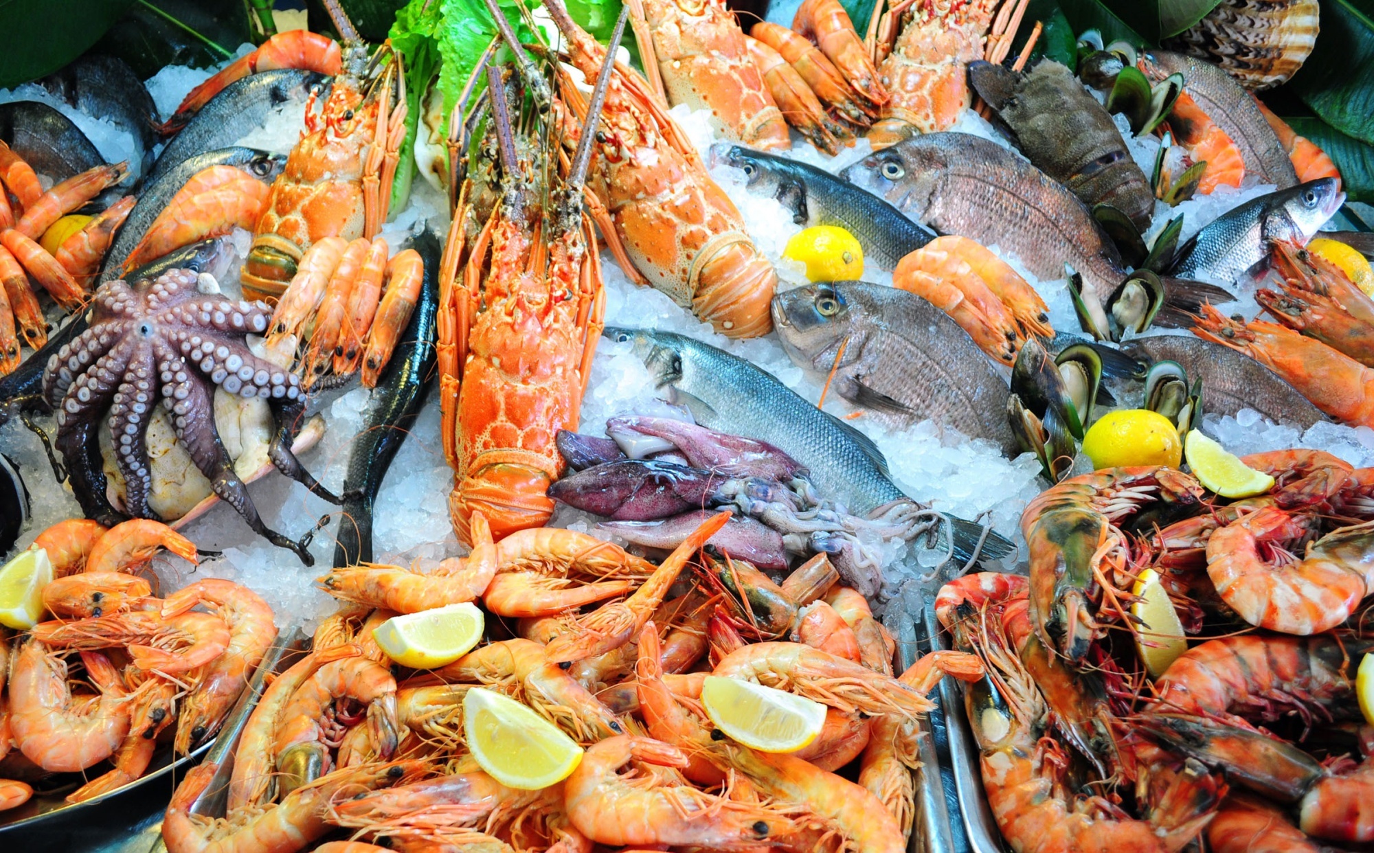 Seafood: Organisms farmed from the water, Shrimp, Crab, Lobster. 2000x1250 HD Wallpaper.