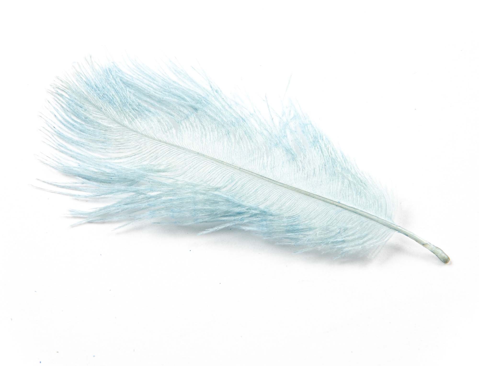 Feather: Ostrich plume, Once a highly valued commodity during the 19th century. 2000x1530 HD Wallpaper.