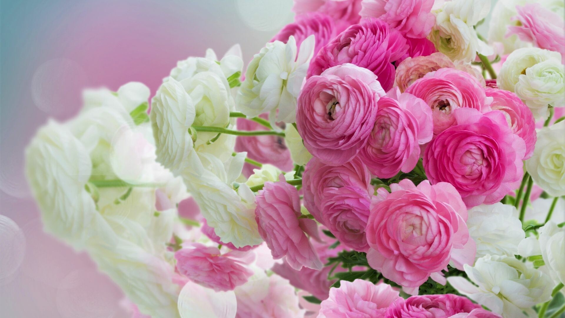 Flower Bouquet: Floral design, Floristry, Bunch of flowers. 1920x1080 Full HD Wallpaper.