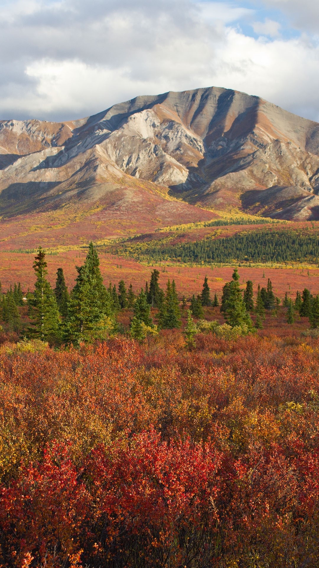 Denali National Park and Preserve, Travels, Autumn colors, Windows 10 spotlight, 1080x1920 Full HD Handy