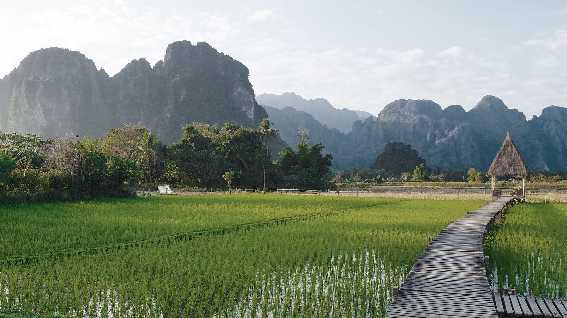 Angsana in Laos, Nature resort, Tranquil setting, Vacation destination, 1920x1080 Full HD Desktop