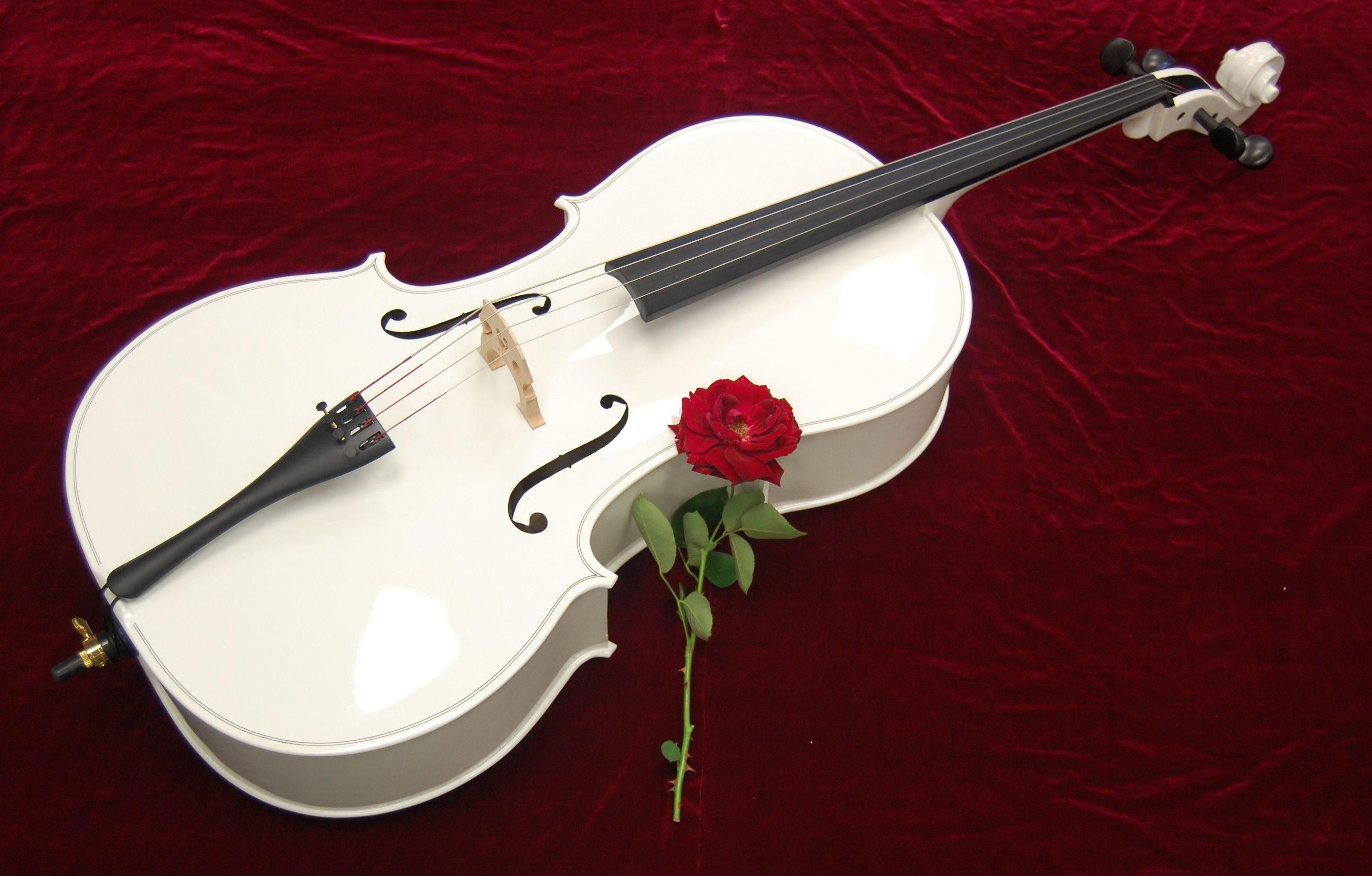 Violoncello: White Cello And Rose, Violists' World Union, Wood String Instrument, Violin Family. 2890x1850 HD Wallpaper.