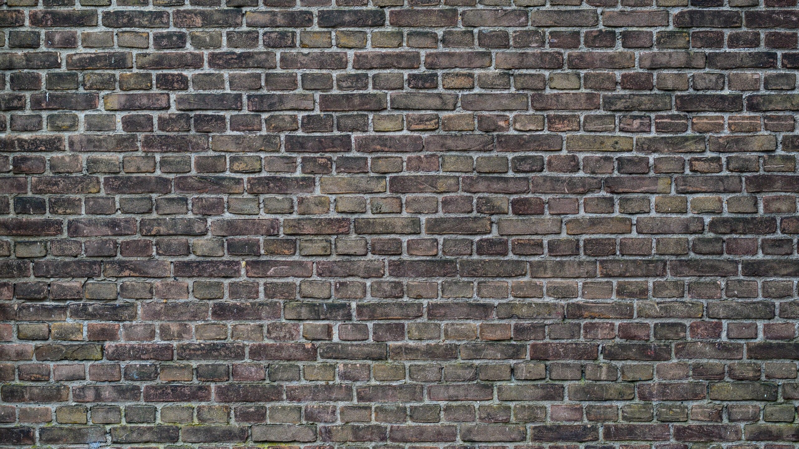 Brick wall, 5K 1440p, Resolution HD, Wallpapers, 2560x1440 HD Desktop