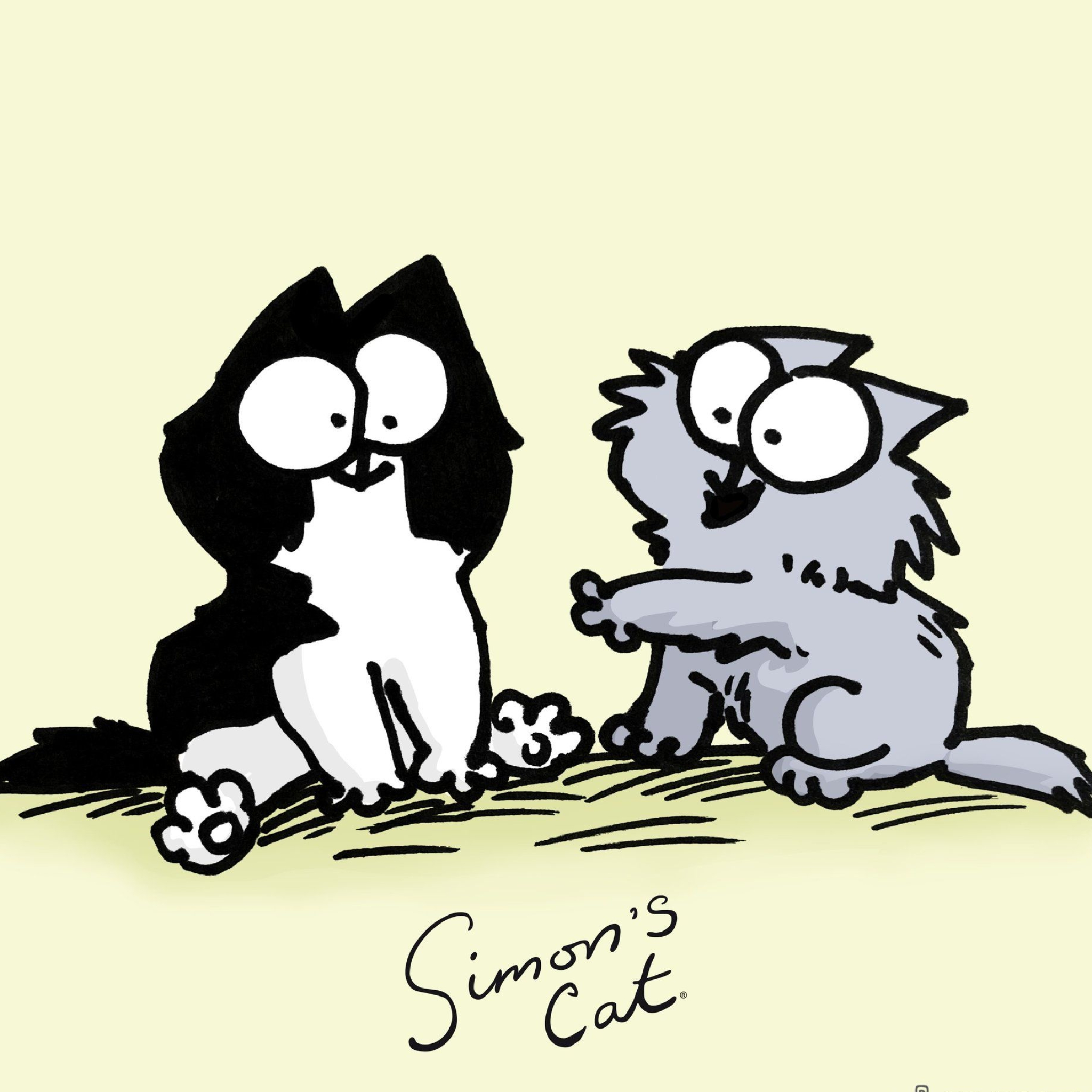 Simon's Cat Animation, Playful feline antics, Cute and funny, Peepsburgh references, 2050x2050 HD Phone