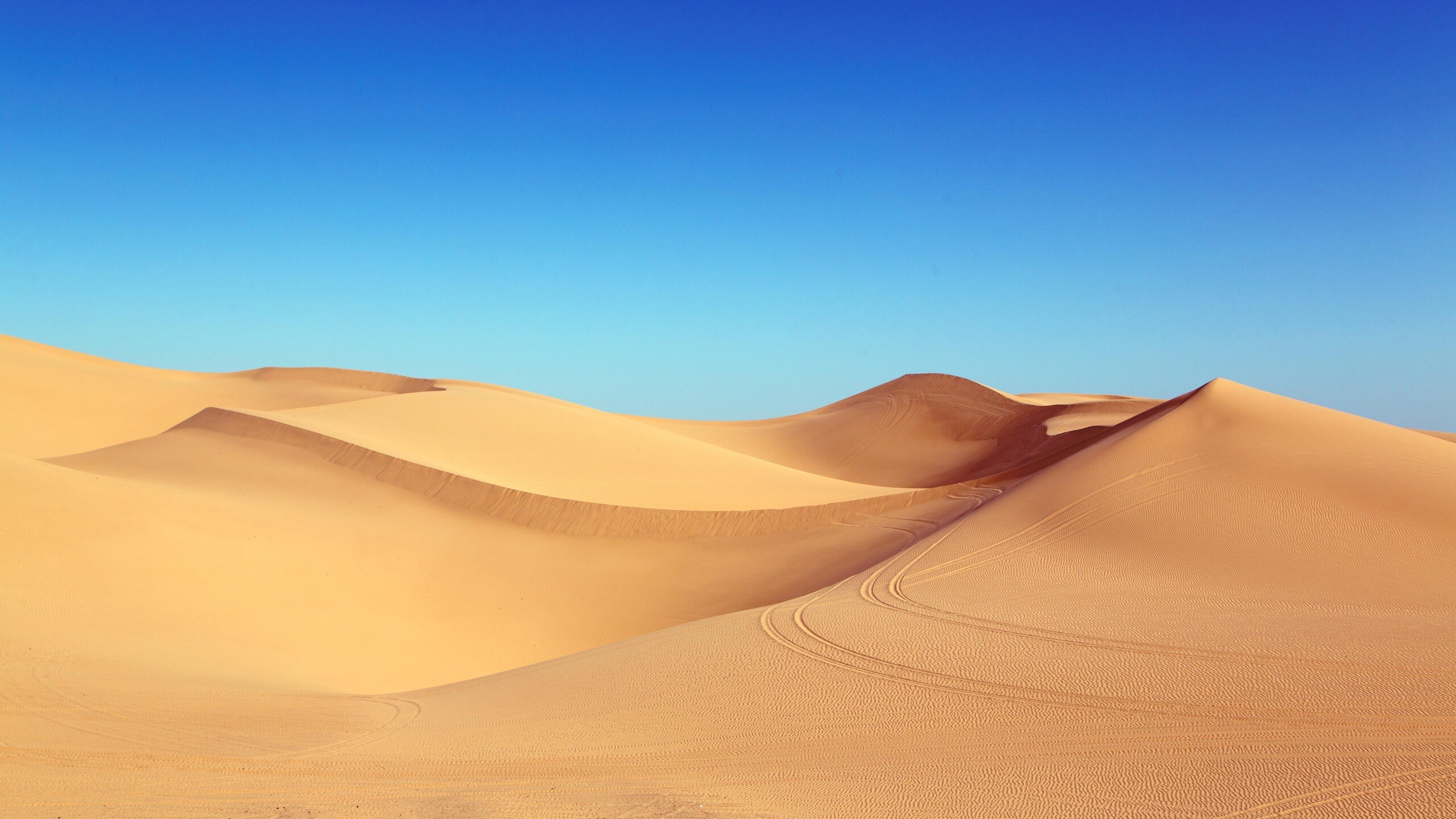 Desert: A non-technical definition is that deserts are those parts of Earth's surface that have insufficient vegetation cover to support a human population. 2560x1440 HD Wallpaper.