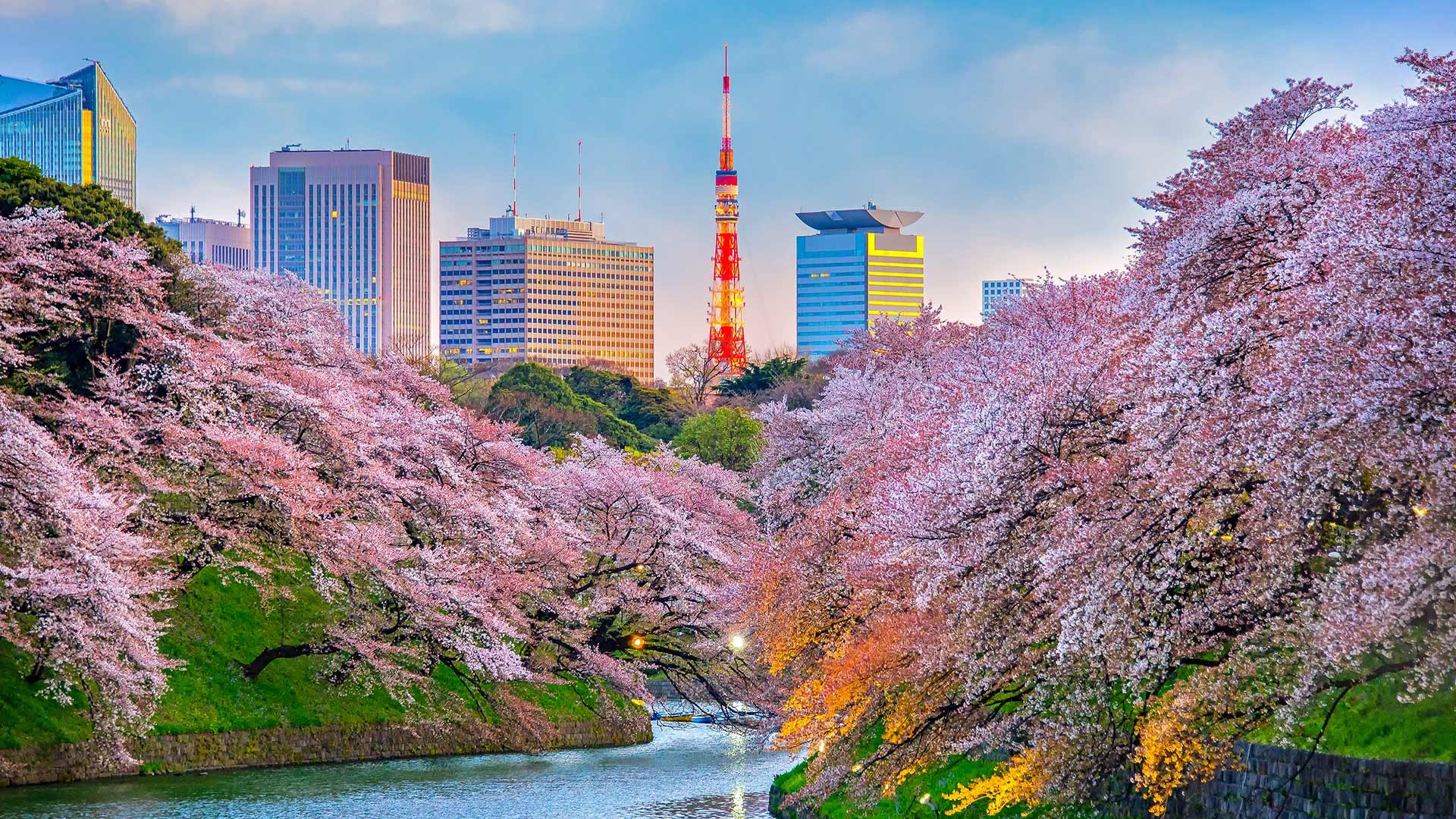 Why visit Tokyo, Travel destination, Japanese experiences, Captivating city, 1920x1080 Full HD Desktop
