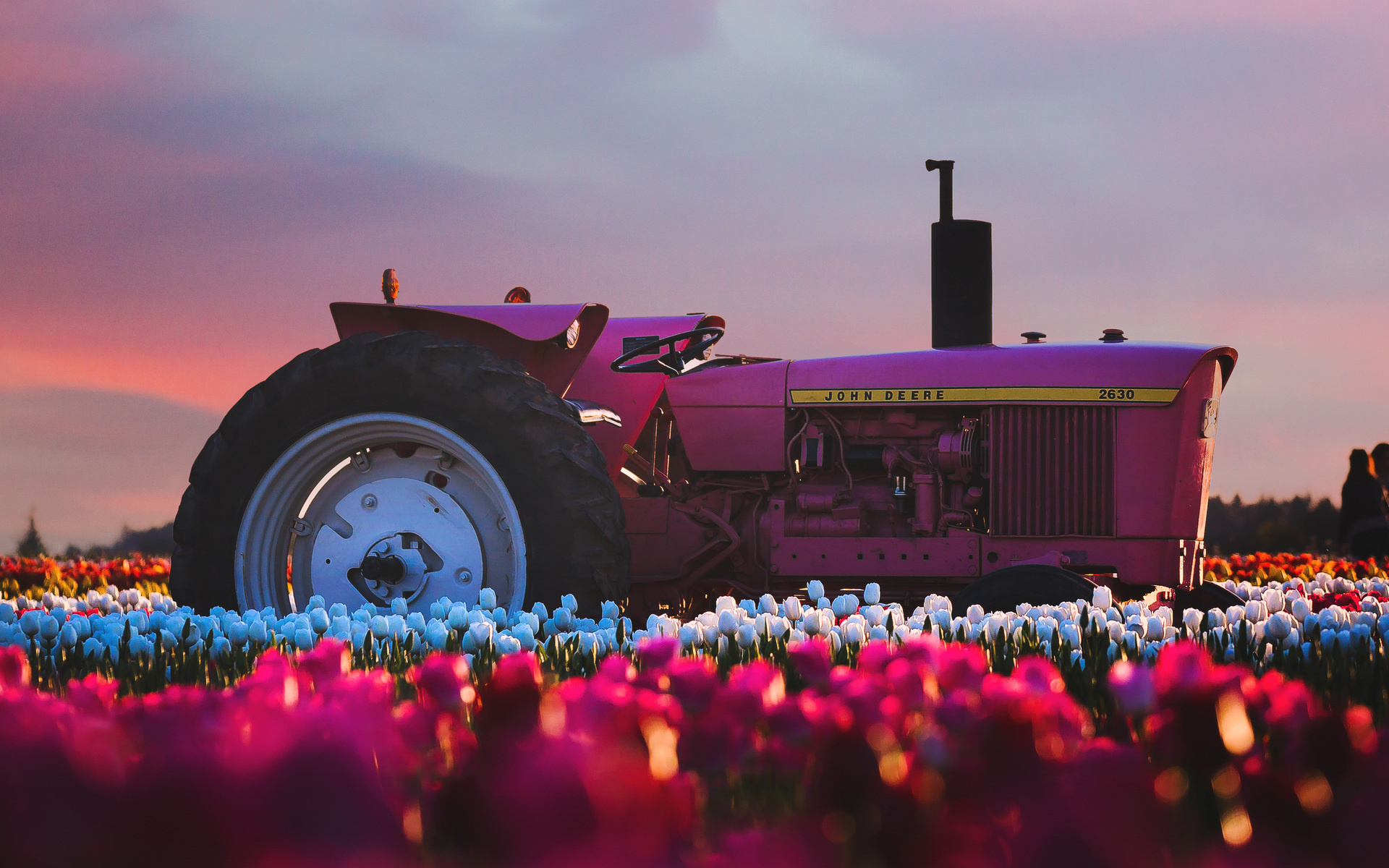 Farm: John Deere, Tractor, Flower filed. 1920x1200 HD Wallpaper.