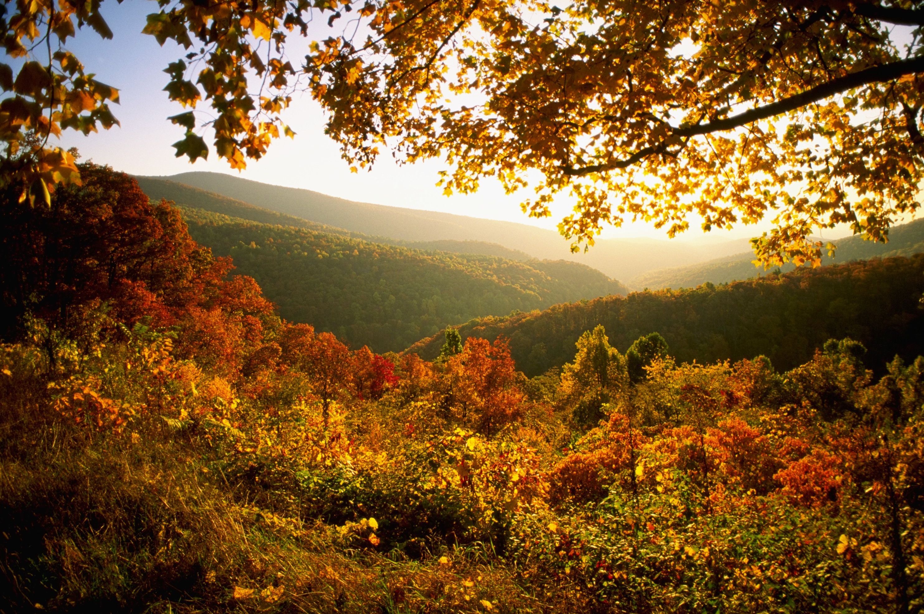 West Virginia: Admitted to the Union on June 20, 1863, Natural landscape. 2970x1970 HD Wallpaper.