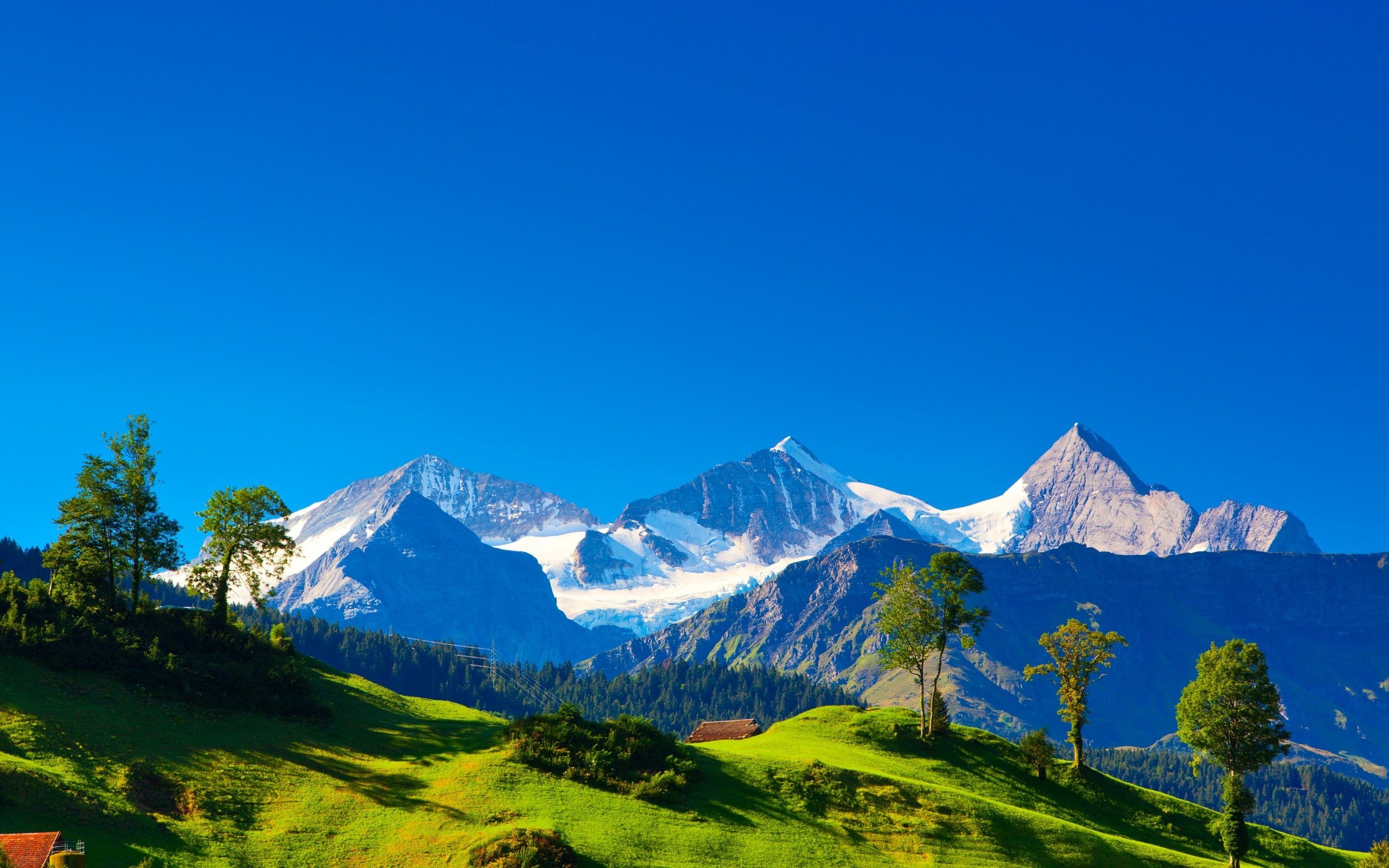 Landscape: The Alps in Switzerland, Conifer forest, Snowy peaks, Alpine settlement. 2880x1800 HD Background.