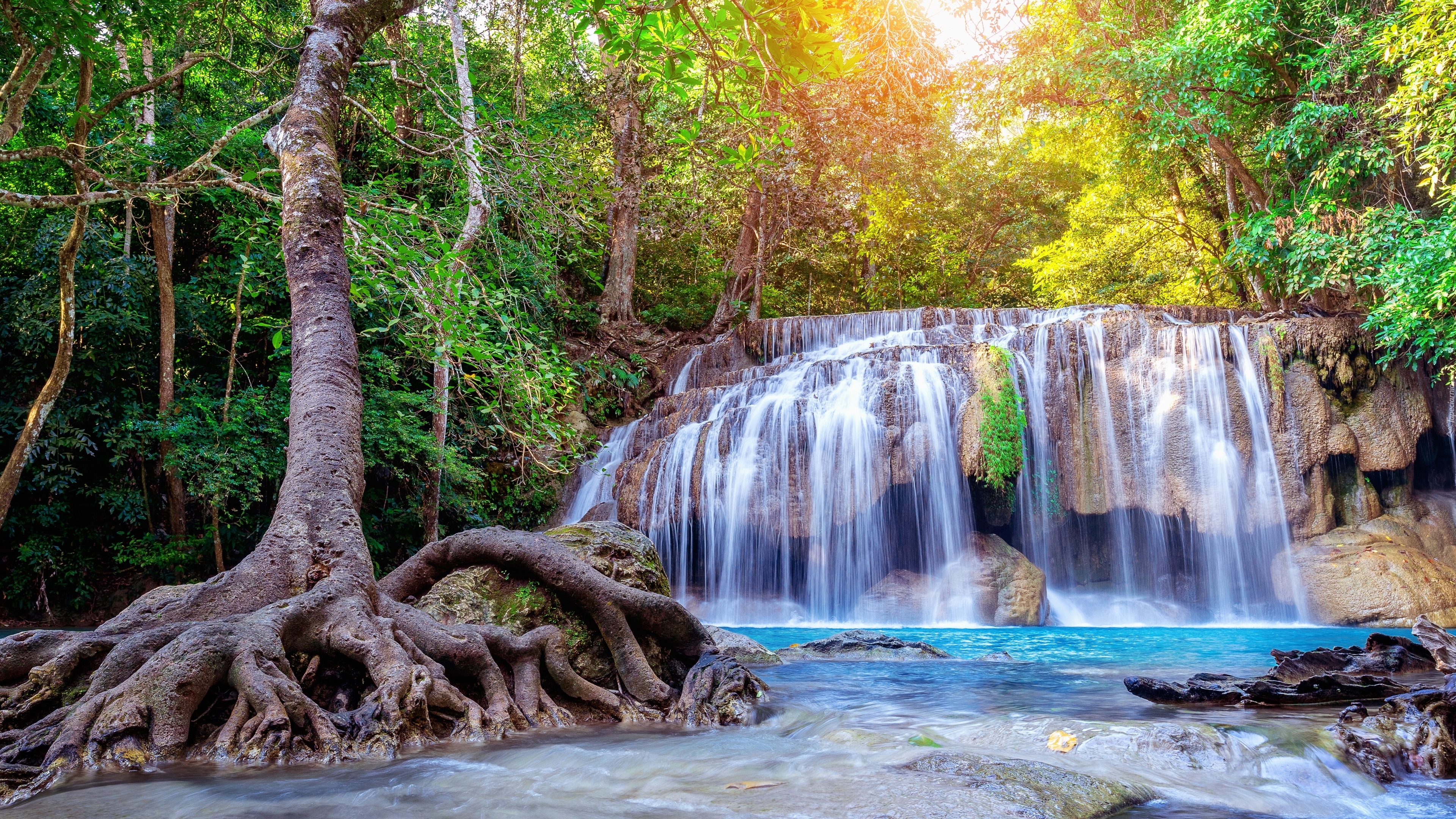 Erawan National Park, Forest oasis, Tree roots and waterfall, Harmony in nature, 3840x2160 4K Desktop