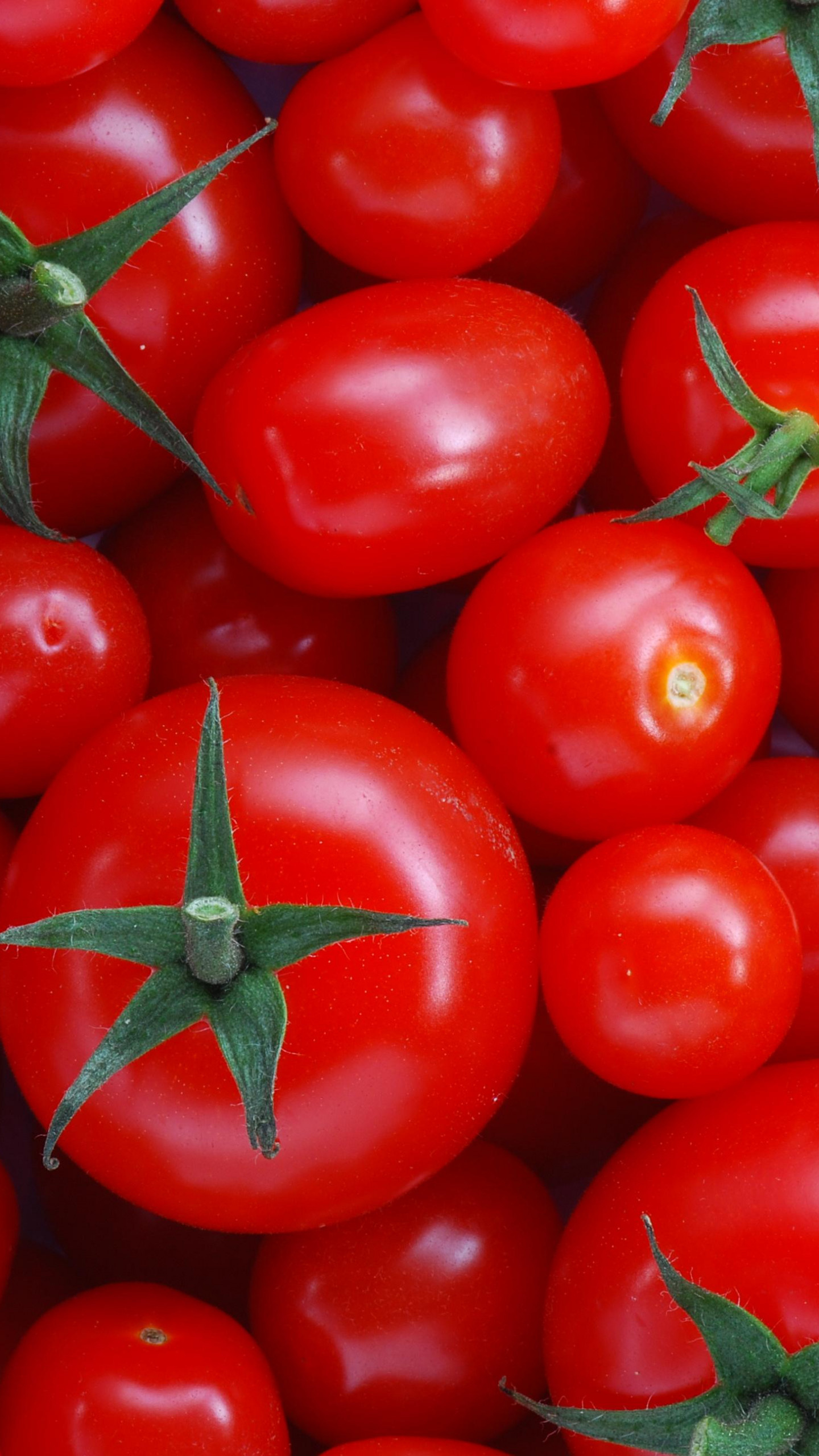 Tomato wallpaper, High-definition image, Vivid red, Desktop background, 1440x2560 HD Handy