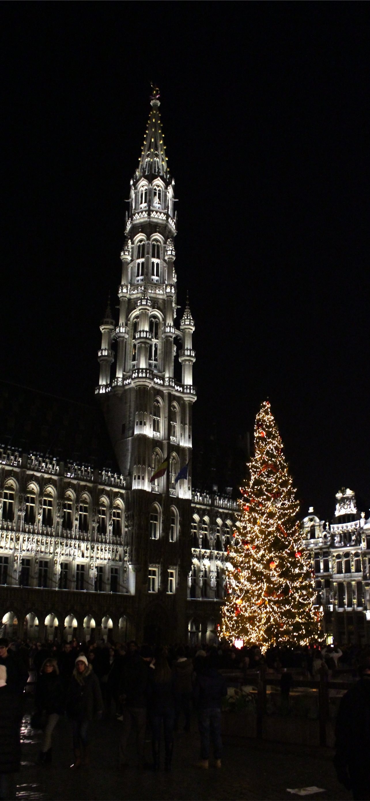Best Brussels, iPhone HD Wallpapers, Brussels, 1290x2780 HD Phone