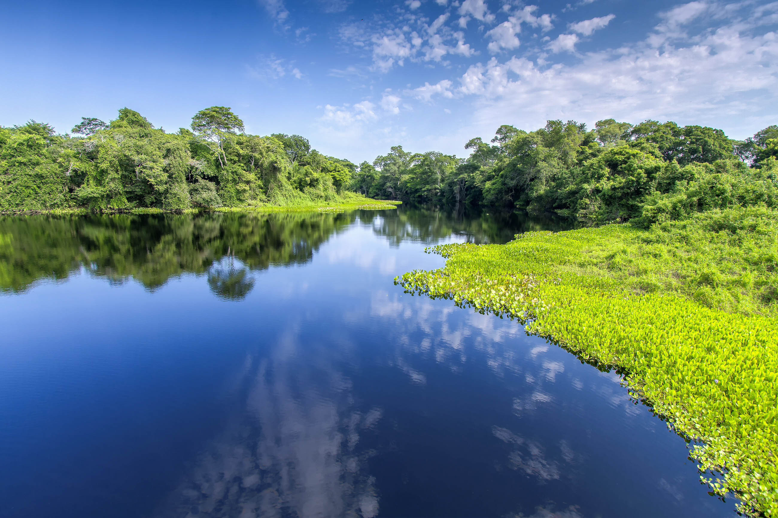 Pantanal Matogrossense, Brazilian wilderness, Franks Travelbox, Breathtaking beauty, 2600x1740 HD Desktop