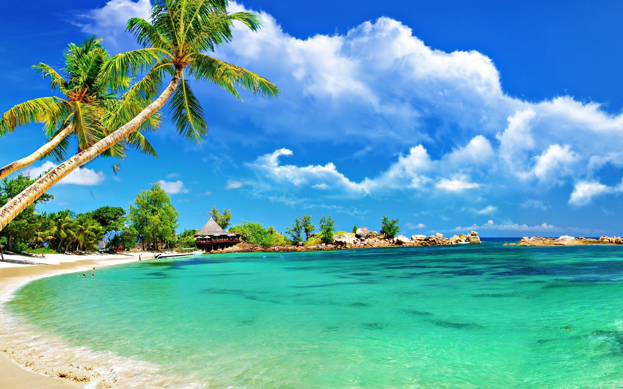 Tropical wallpapers, Paradise vibes, Exotic destinations, Vacation inspiration, 2560x1600 HD Desktop