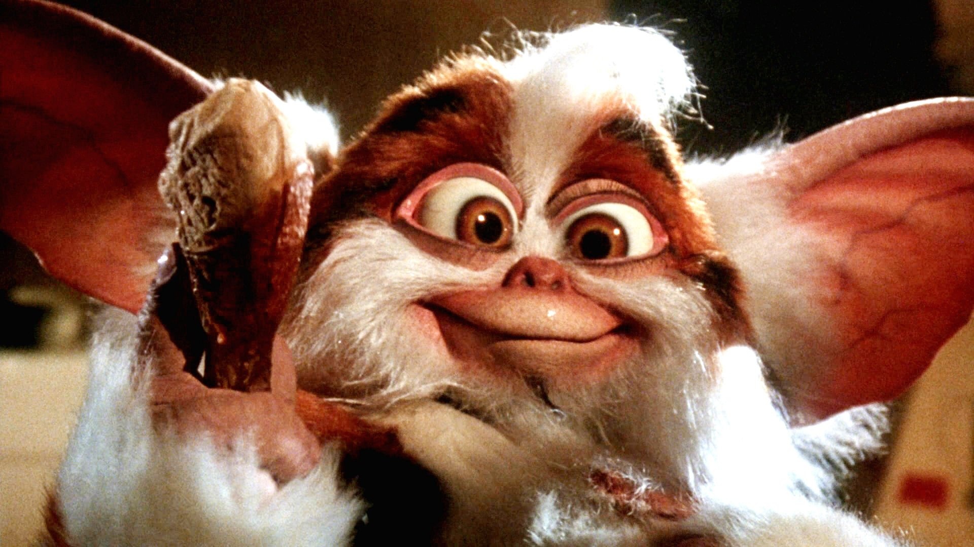Gremlin: A 1990 black comedy film with creature designs by Rick Baker. 1920x1080 Full HD Wallpaper.