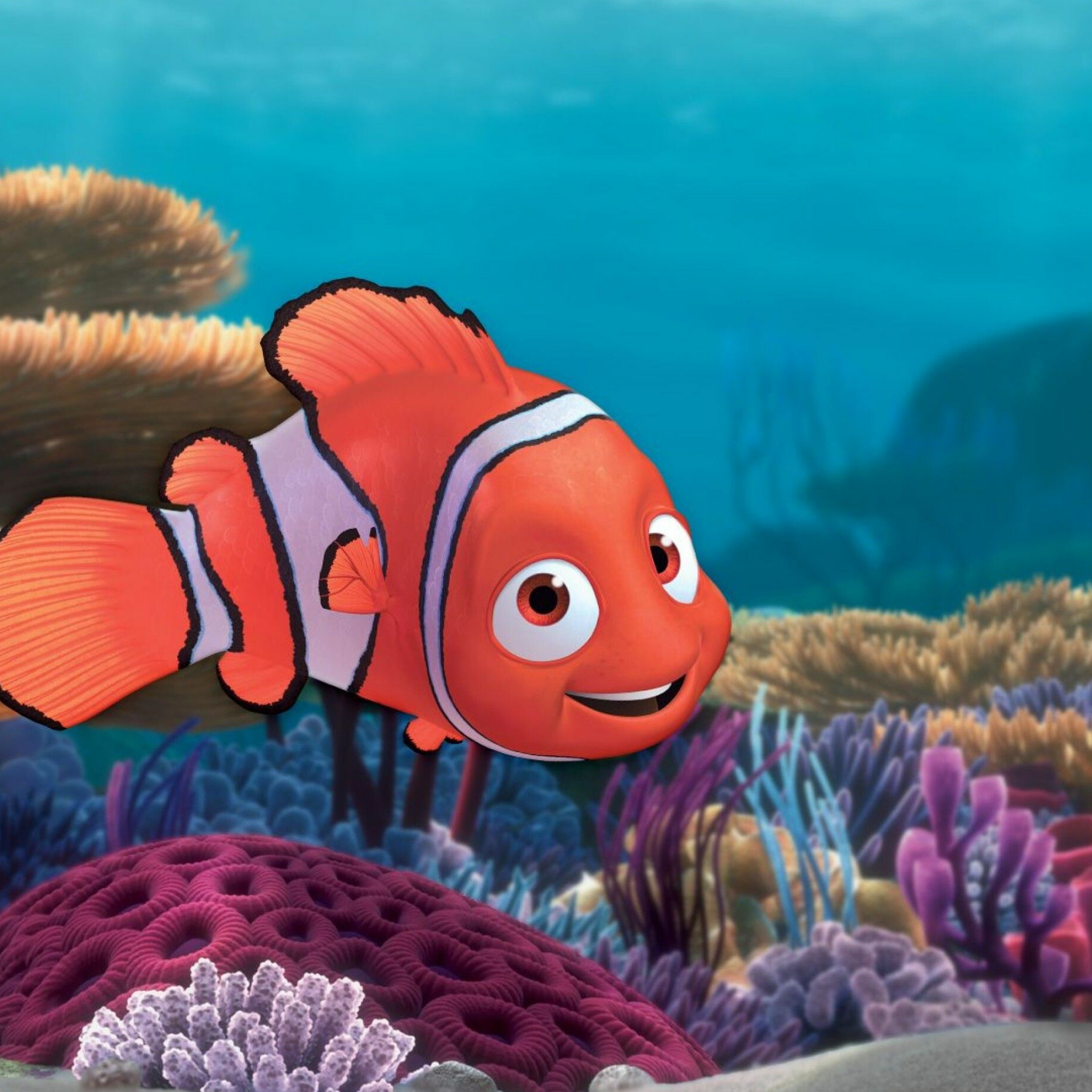 Finding Nemo: Marlin's only surviving son, gets captured and domesticated as a pet. 2050x2050 HD Background.