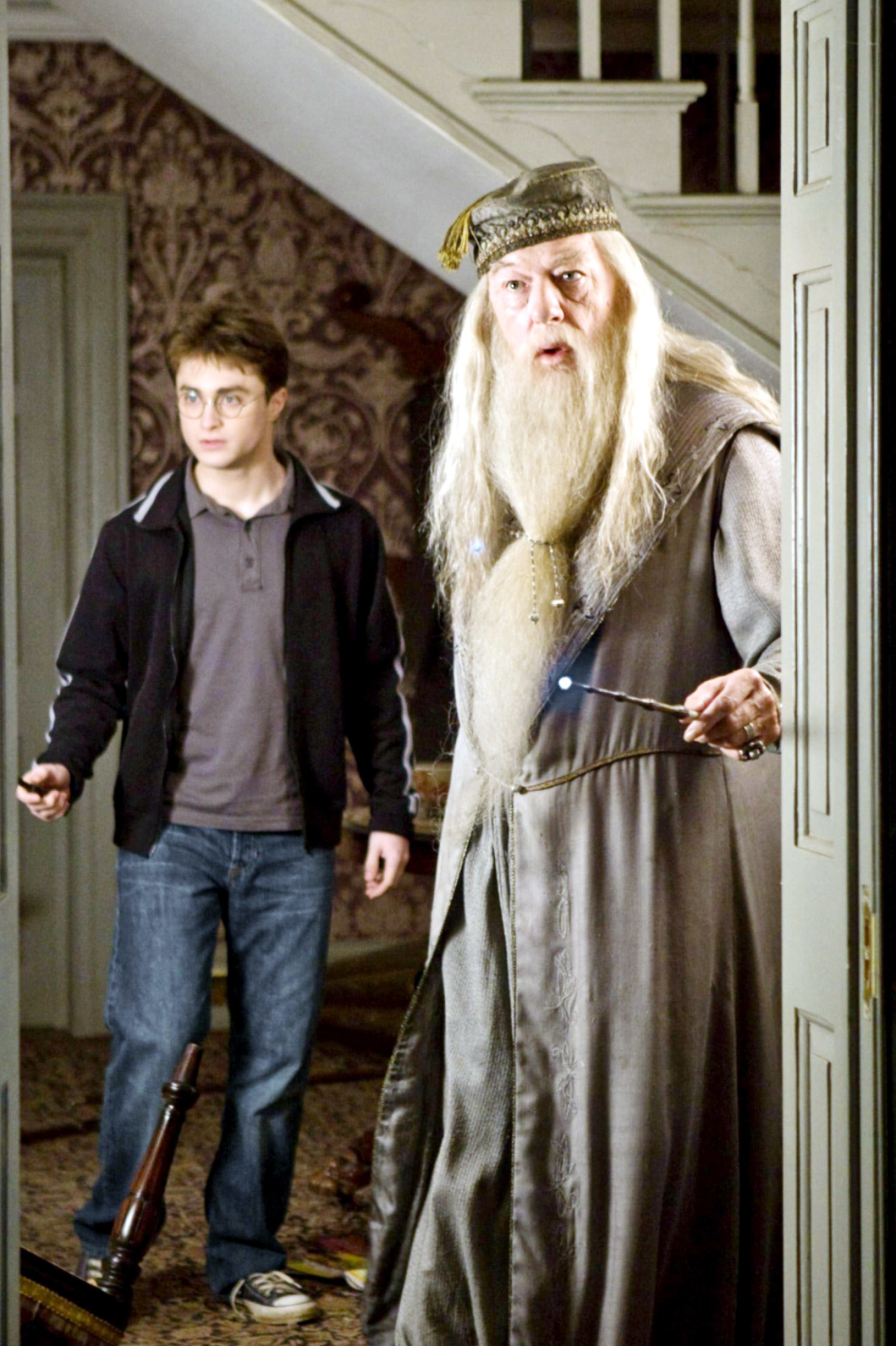 Dumbledore, Michael Gambon, Almost wasn't played, 1640x2460 HD Phone