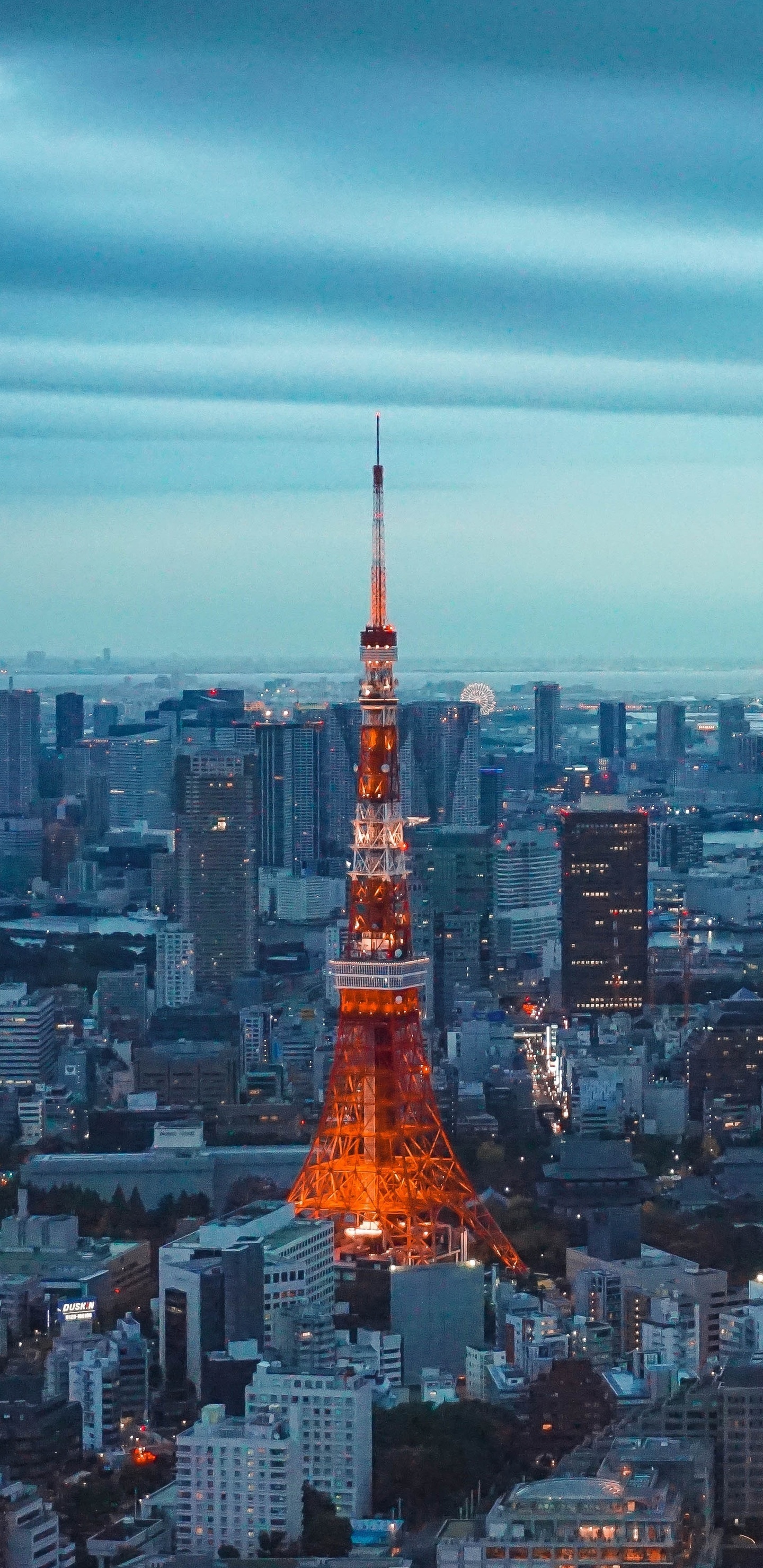 Tokyo Tower, Samsung Galaxy wallpapers, Note 9, S9, 1440x2960 HD Handy