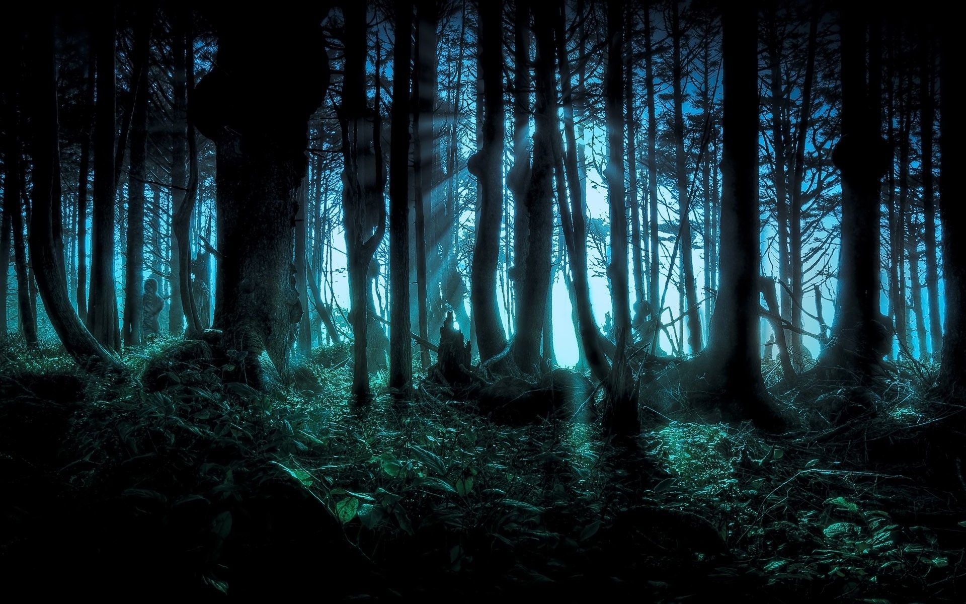 Haunted forest, Spooky woods, Eerie atmosphere, Mysterious vibes, 1920x1200 HD Desktop