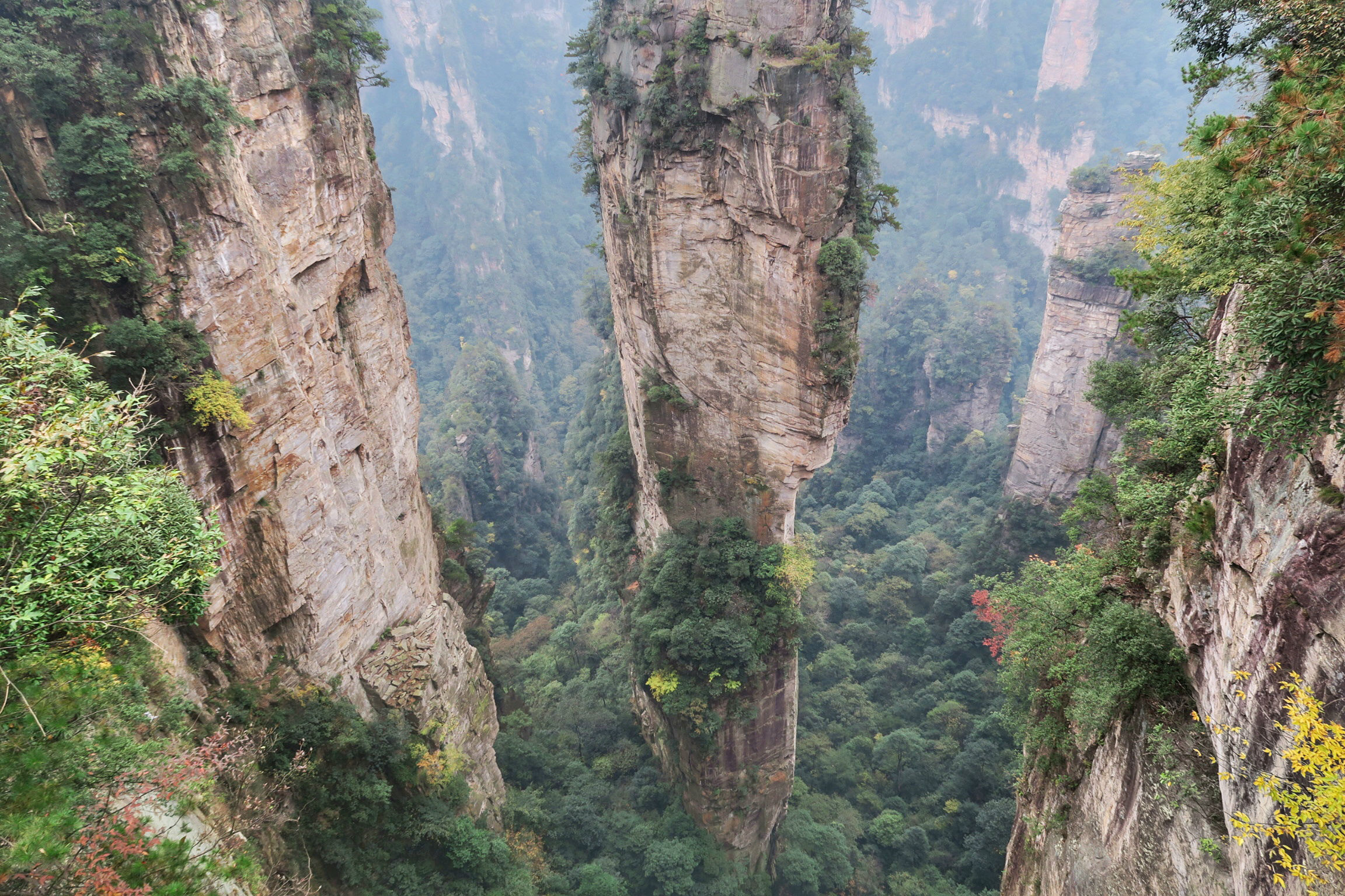 Wulingyuan National Park, Travels, Avatar mountains, Forest park exploration, 2310x1540 HD Desktop