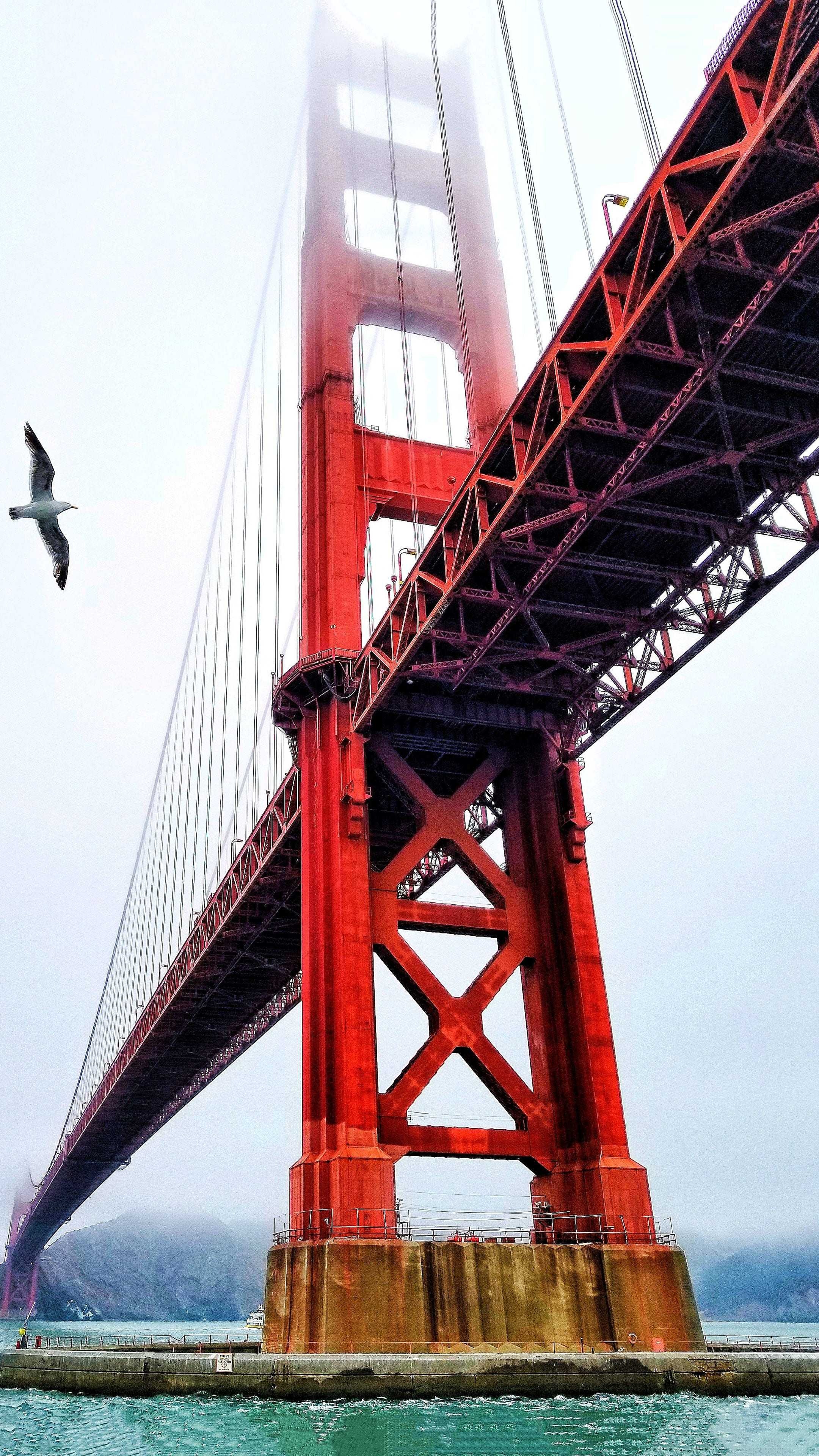 Golden Gate Bridge, Background, Landmark, 2160x3840 4K Phone