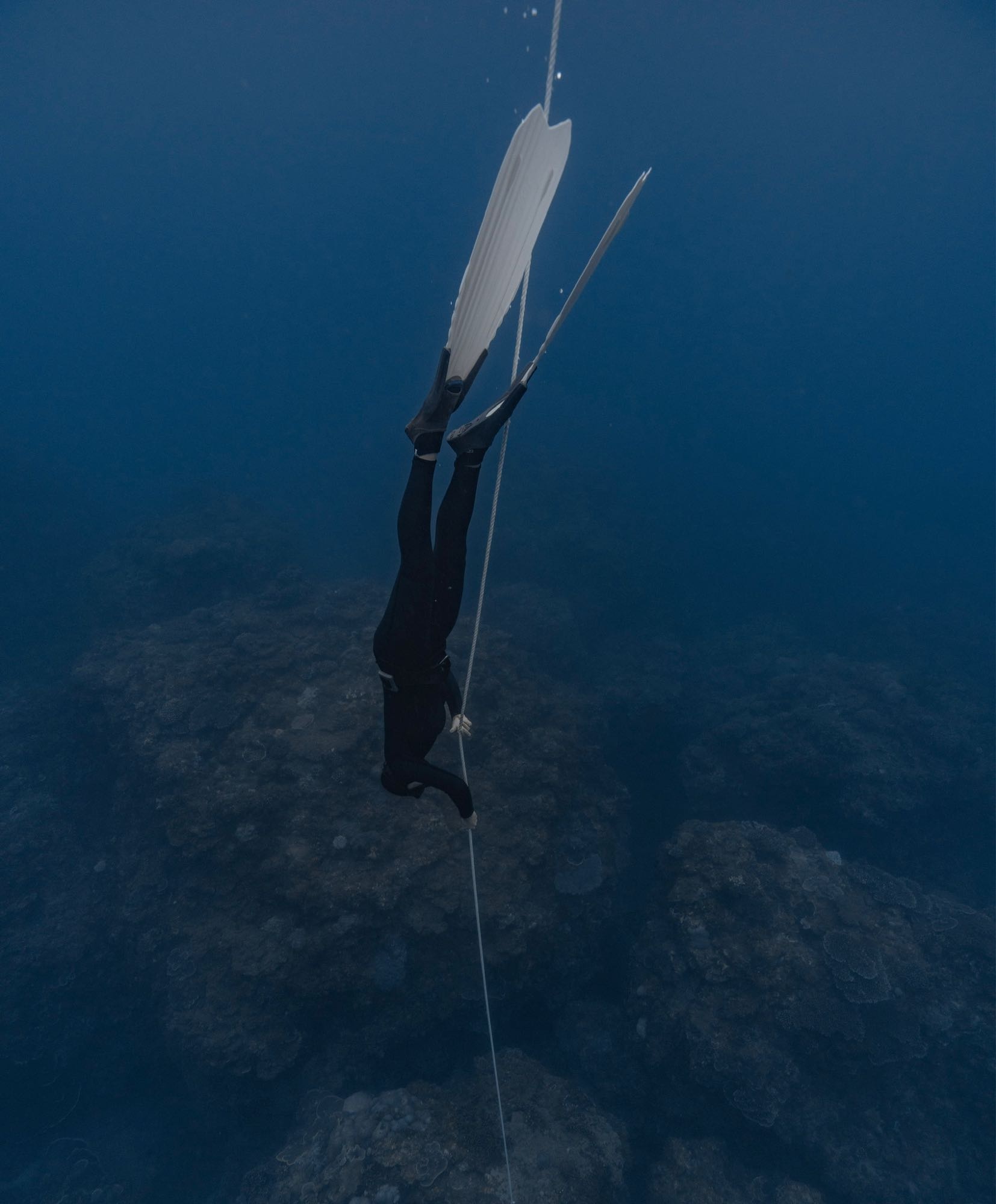 Freediving: An underwater navigation rope that is used by a skin diver to easily reach the bottom. 1660x2000 HD Wallpaper.
