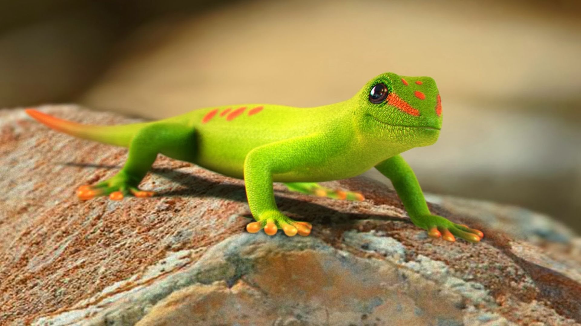 Gecko: Reptiles, Cold-blooded animal. 1920x1080 Full HD Background.
